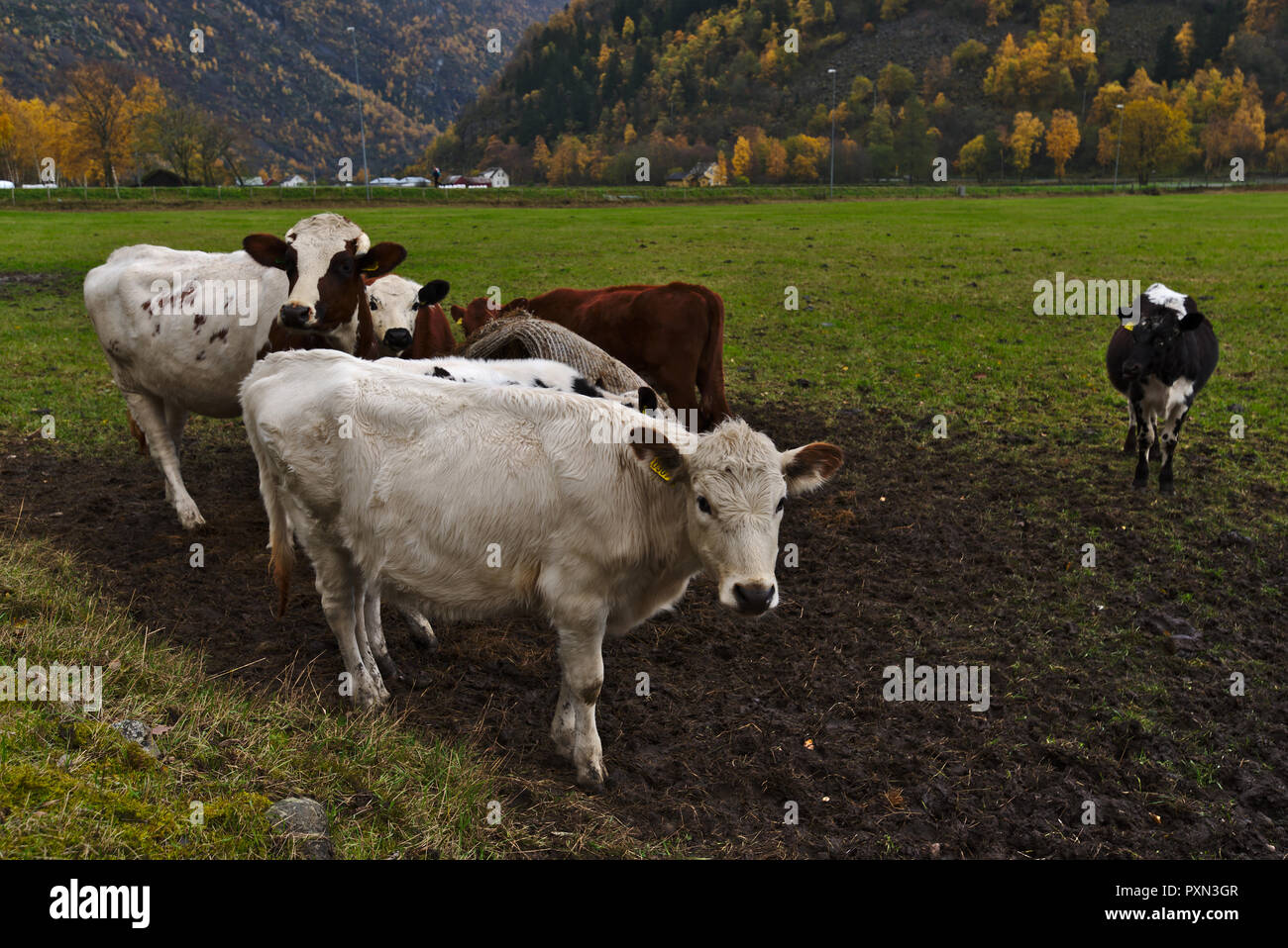 Moutian view hi-res stock photography and images - Alamy