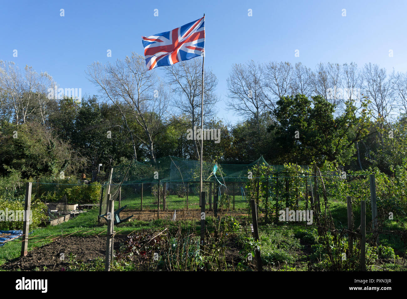 allotment in UK with union jack flag flying from cane flag post Stock Photo