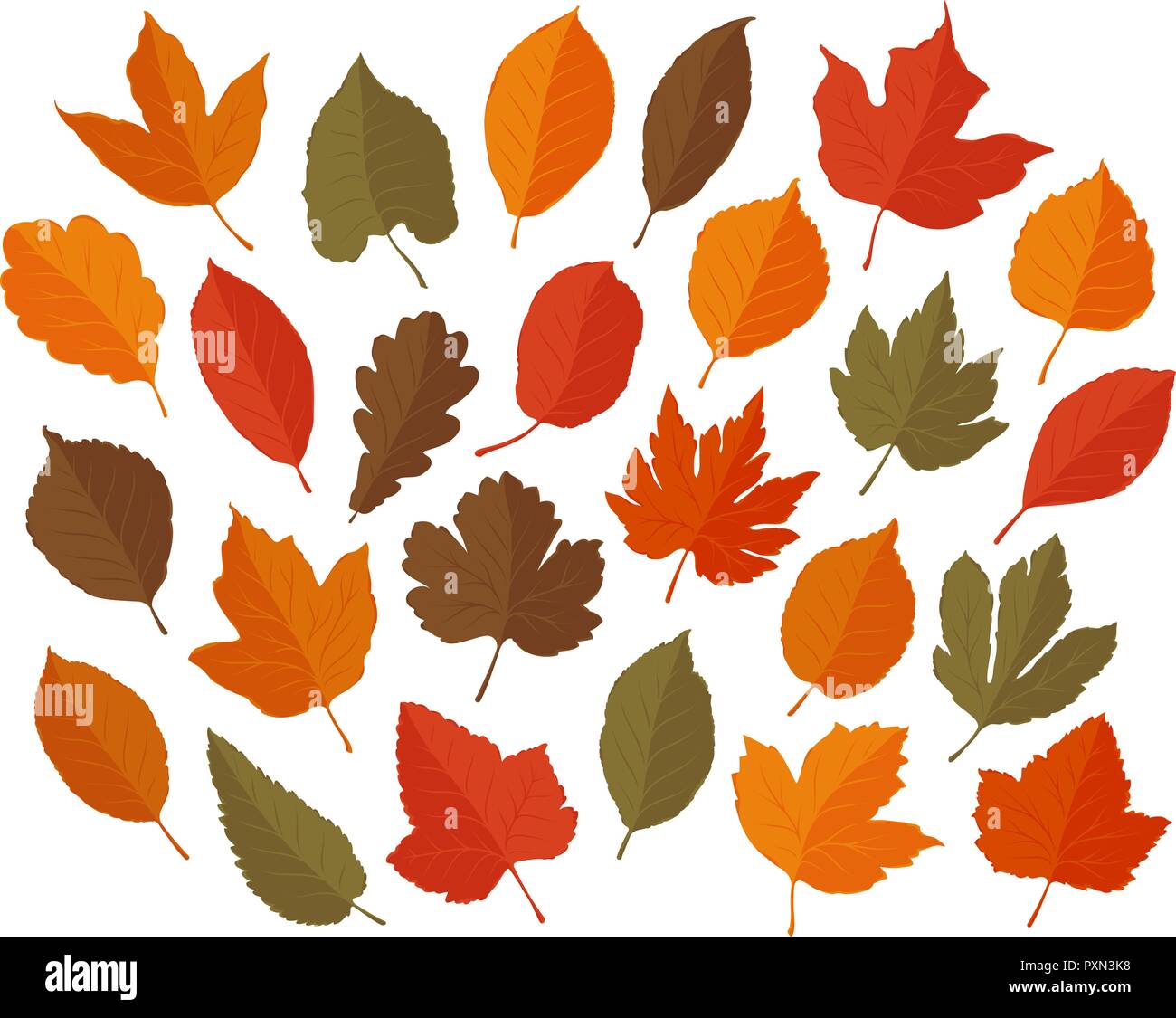 Decorative leaves, set. Autumn, leaf fall concept. Vector illustration Stock Vector