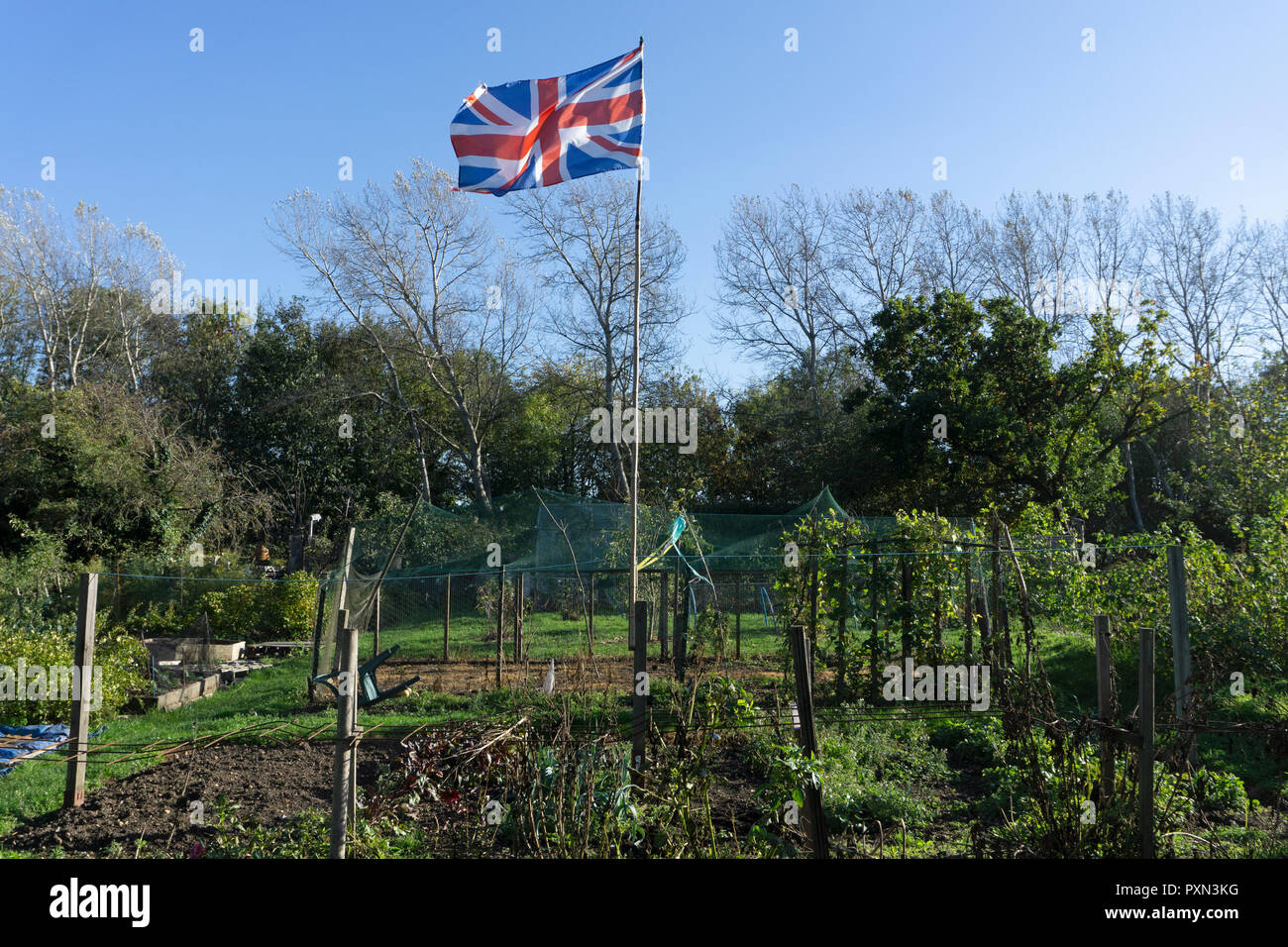 allotment in UK with union jack flag flying from cane flag post Stock Photo