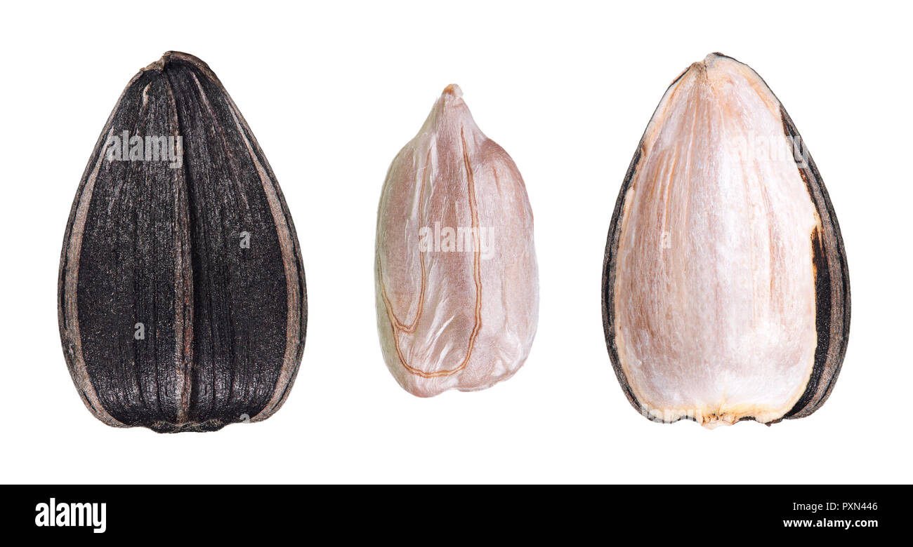 Black sunflower seed Stock Photo - Alamy
