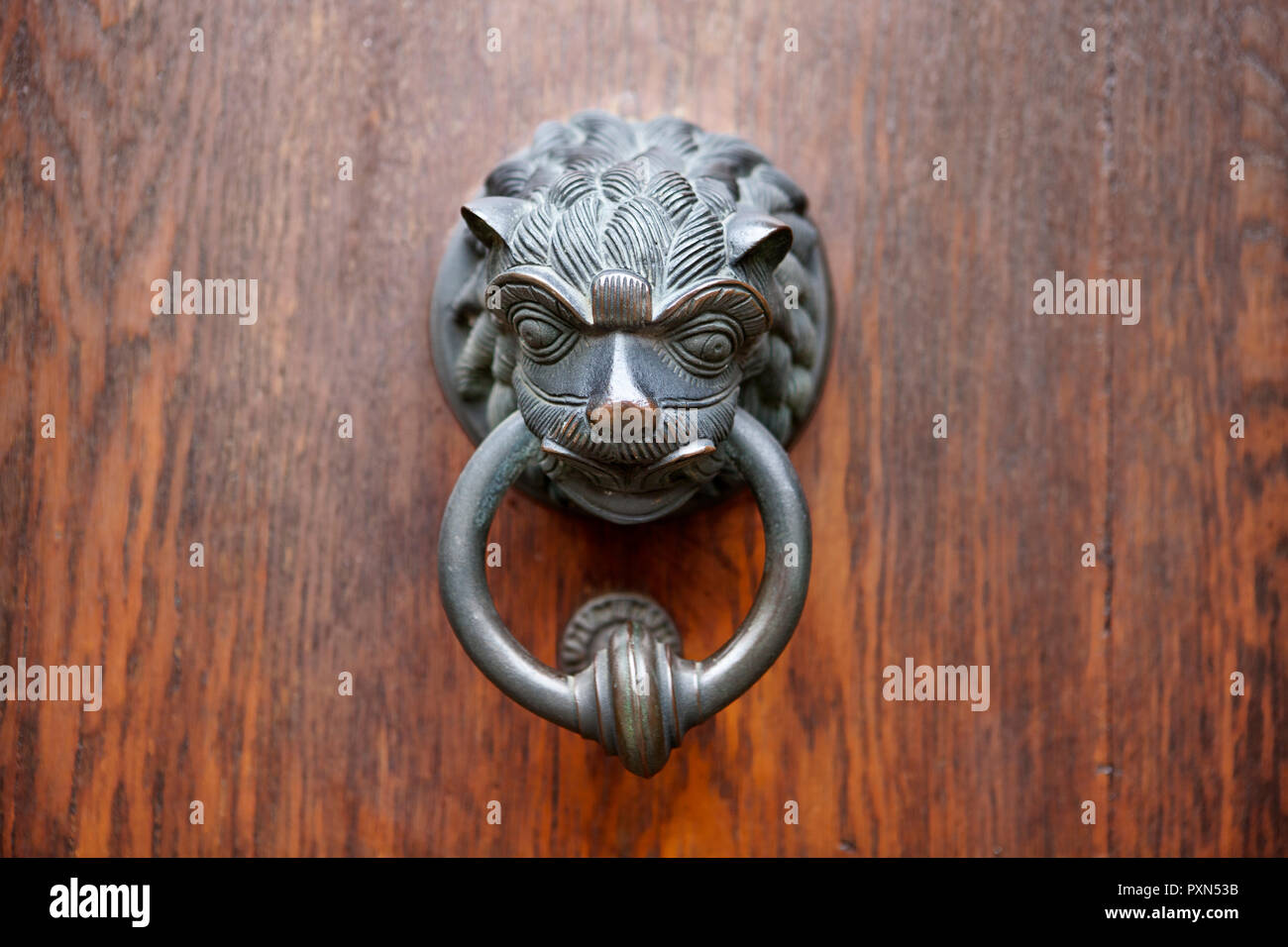 Old door knocker, Animal figurine Stock Photo