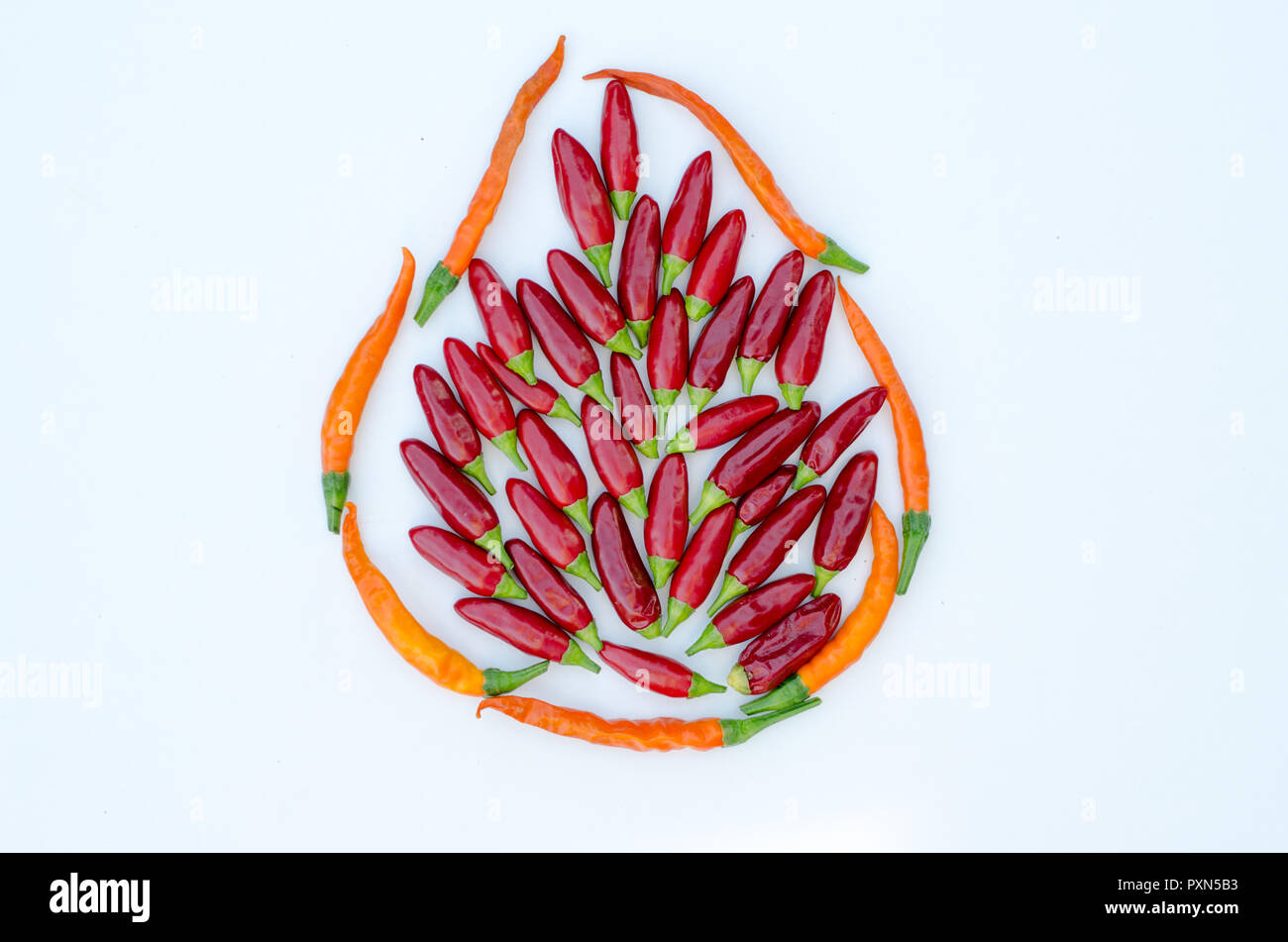 spicy chilli vegetable arrangement isolated Stock Photo
