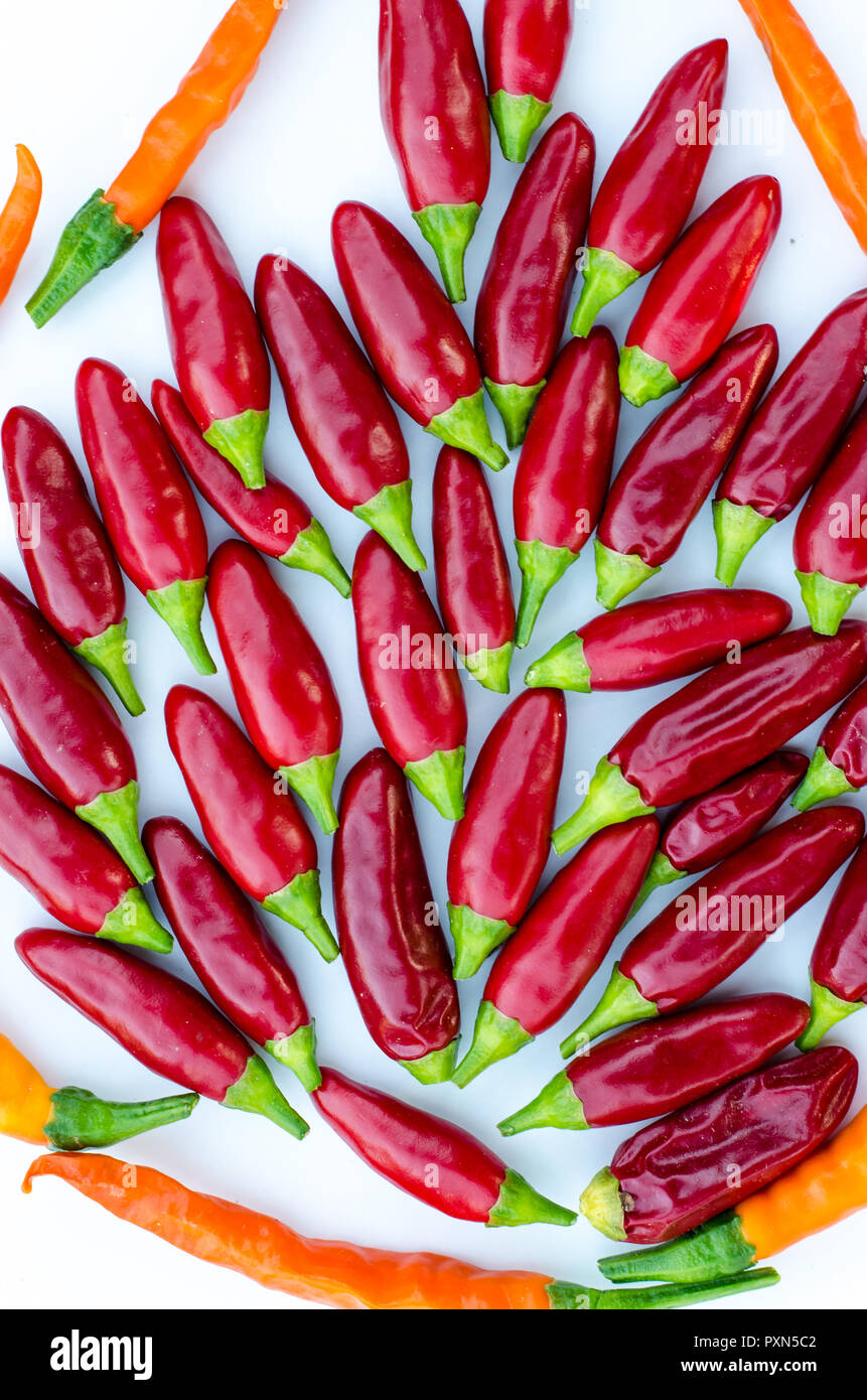 red spicy chilli vegetable arrangement isolated Stock Photo