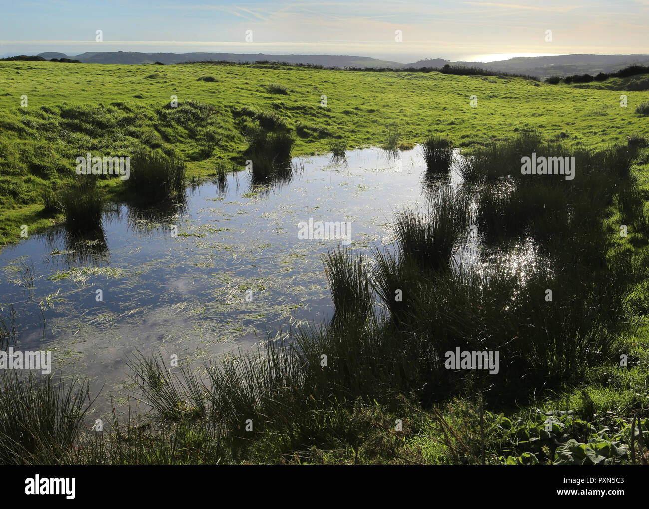dew pond on hill fort, backlit by coastal horizon Stock Photo
