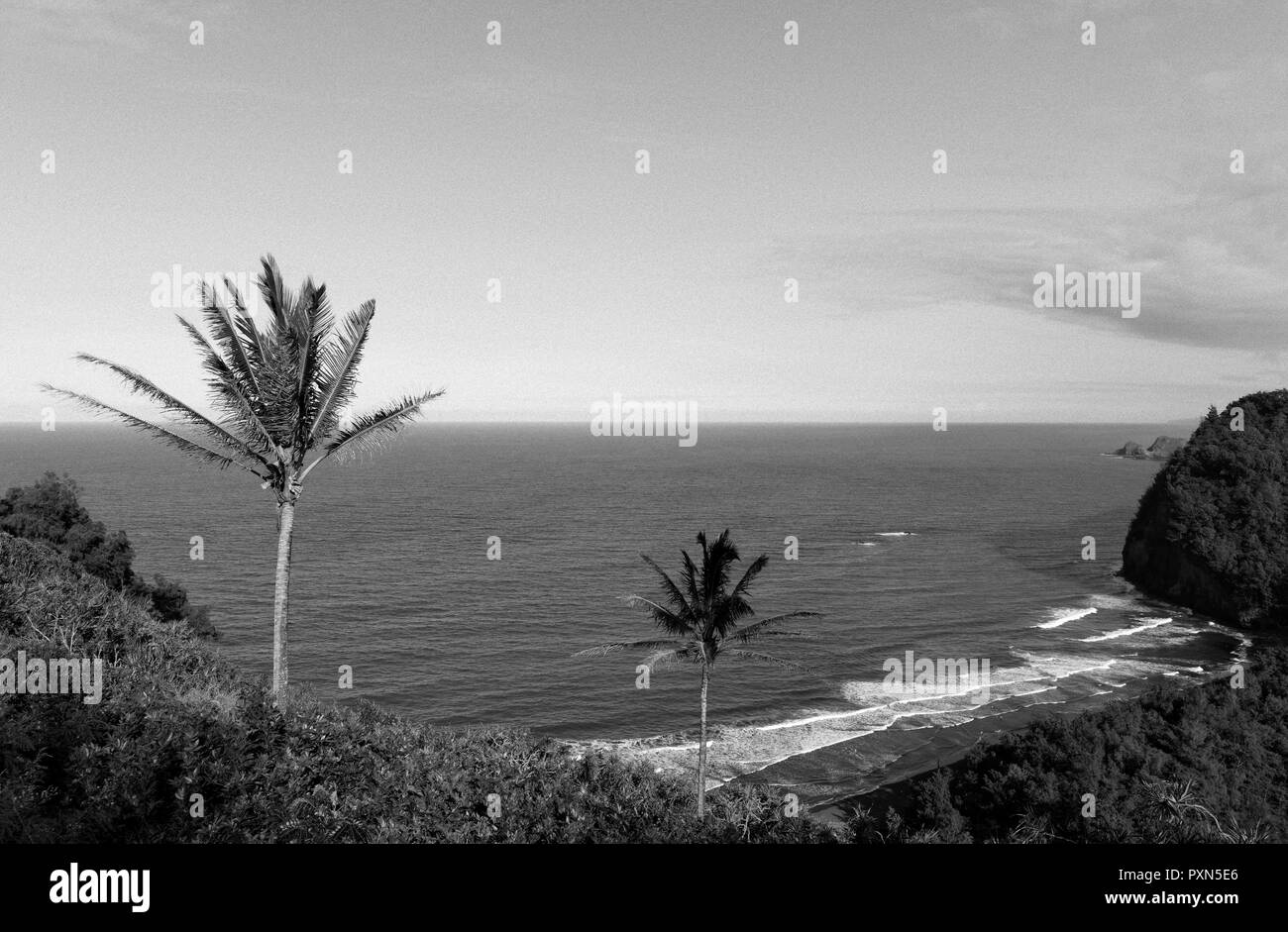 Coastline, Pololu Valley Lookout, Big Island, Hawaii, United States of America USA Stock Photo