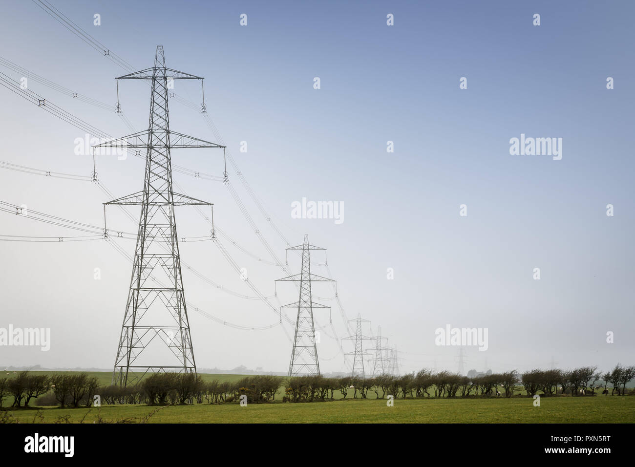 A line of electricity pylons in UK countryside. With blue sky and copy space Stock Photo