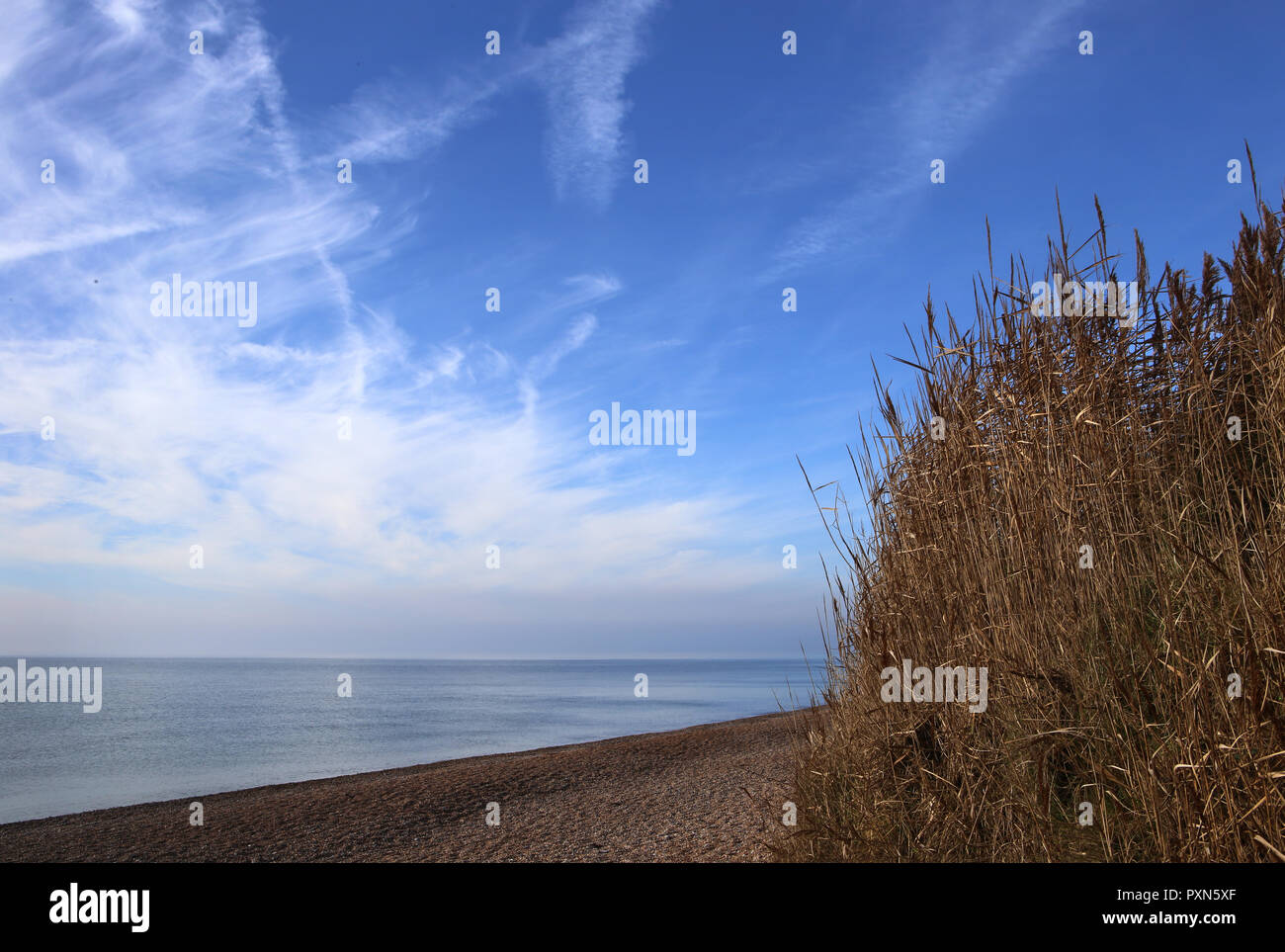 Reeds beach hi-res stock photography and images - Alamy