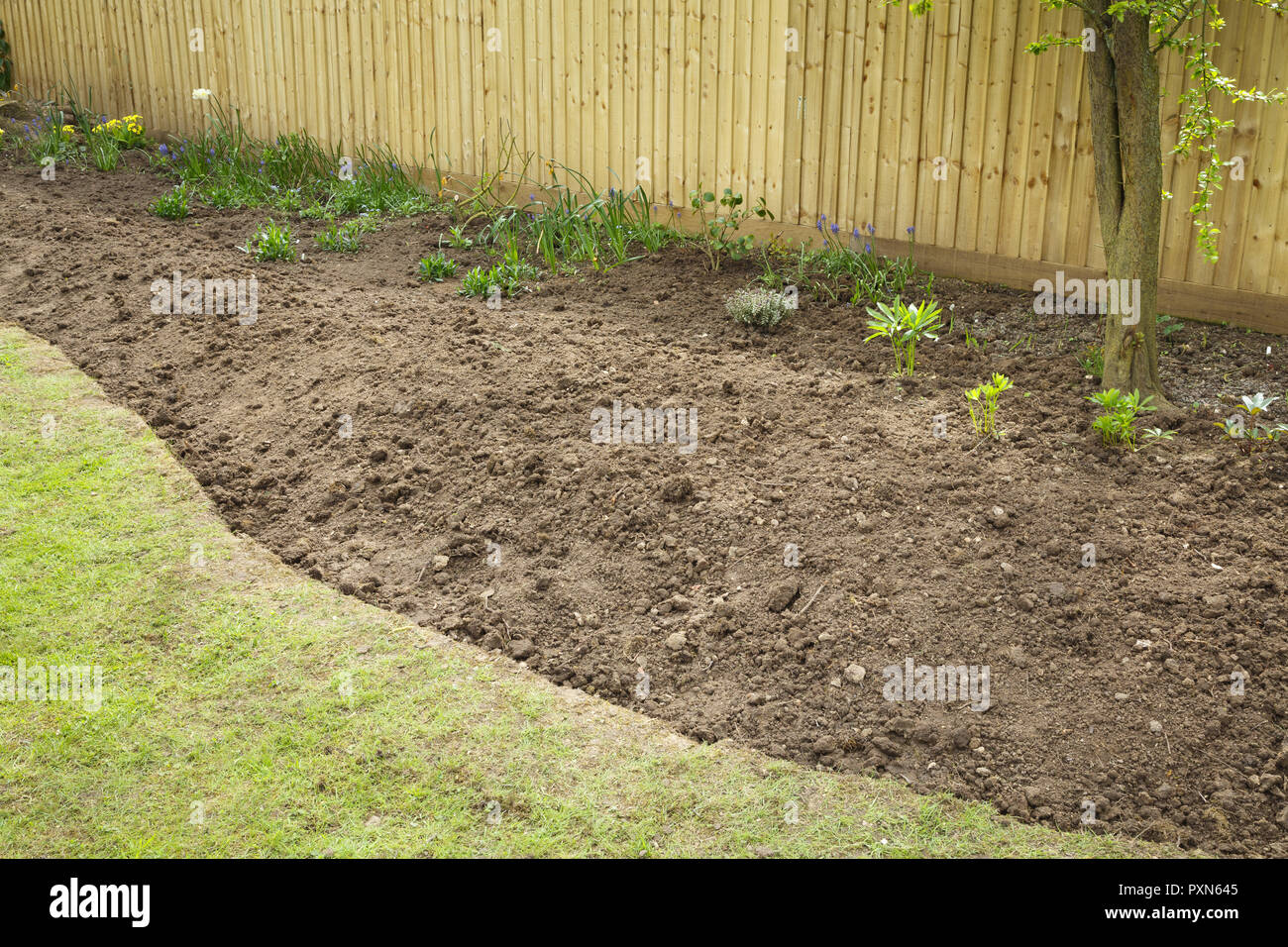 Preparing A Garden Flowerbed For Planting The Flower Bed Is Shown