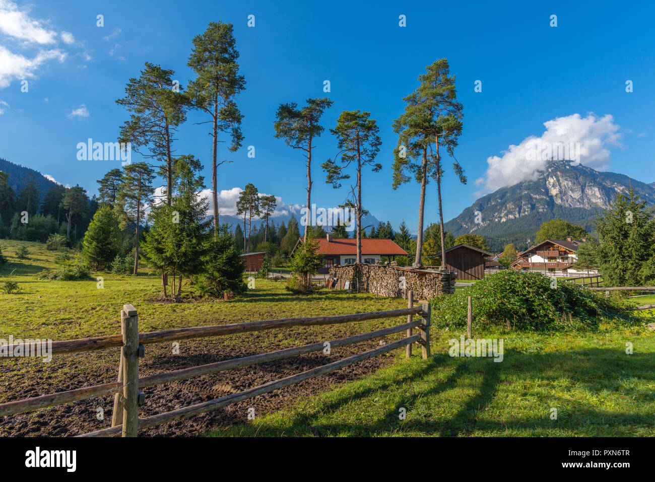 Farm and farmland, Farchant, Upper Bavaria, Bavaria, Germany Stock Photo