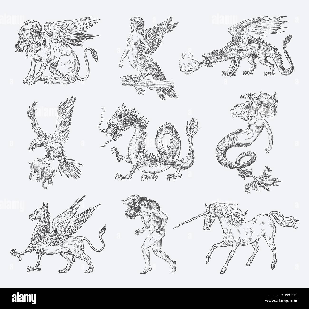 Set of Mythological animals. Mermaid Minotaur Unicorn Chinese dragon Cerberus Harpy Sphinx Griffin Mythical Basilisk Roc Woman Bird. Greek creatures. Engraved hand drawn antique old vintage sketch. Stock Vector