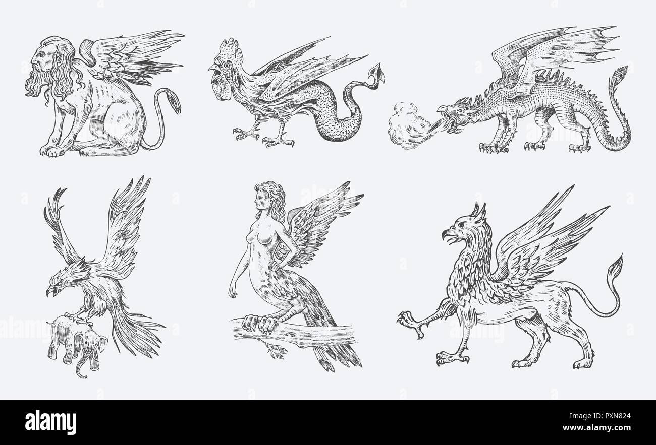 Set of Mythological animals. Chinese dragon Harpy Sphinx Griffin Mythical Basilisk Roc Woman Bird. Greek creatures. Engraved hand drawn antique old vintage sketch. Stock Vector
