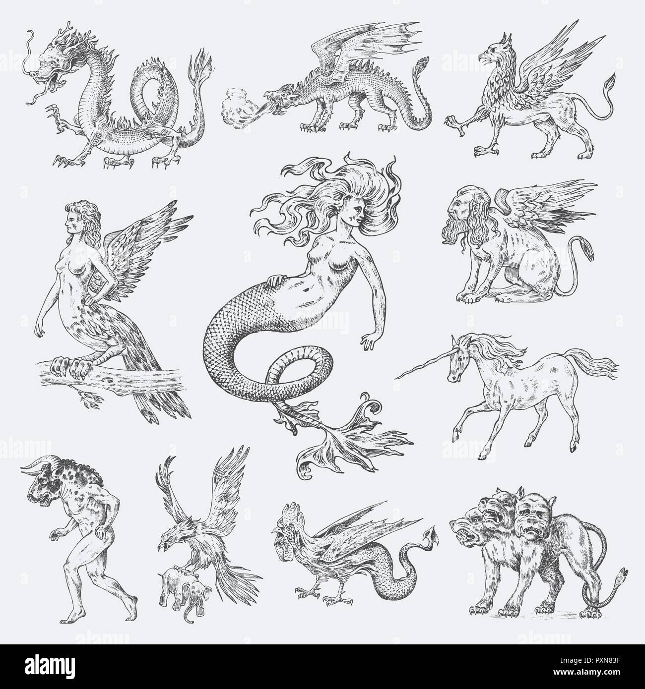 Set of Mythological animals. Mermaid Minotaur Unicorn Chinese dragon Cerberus Harpy Sphinx Griffin Mythical Basilisk Roc Woman Bird. Greek creatures. Engraved hand drawn antique old vintage sketch. Stock Vector