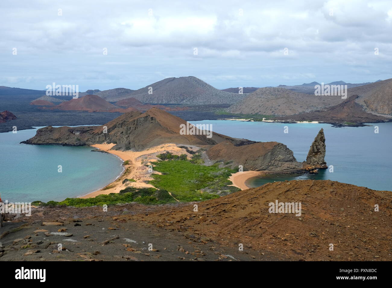 Galapagos islands flora hi-res stock photography and images - Alamy