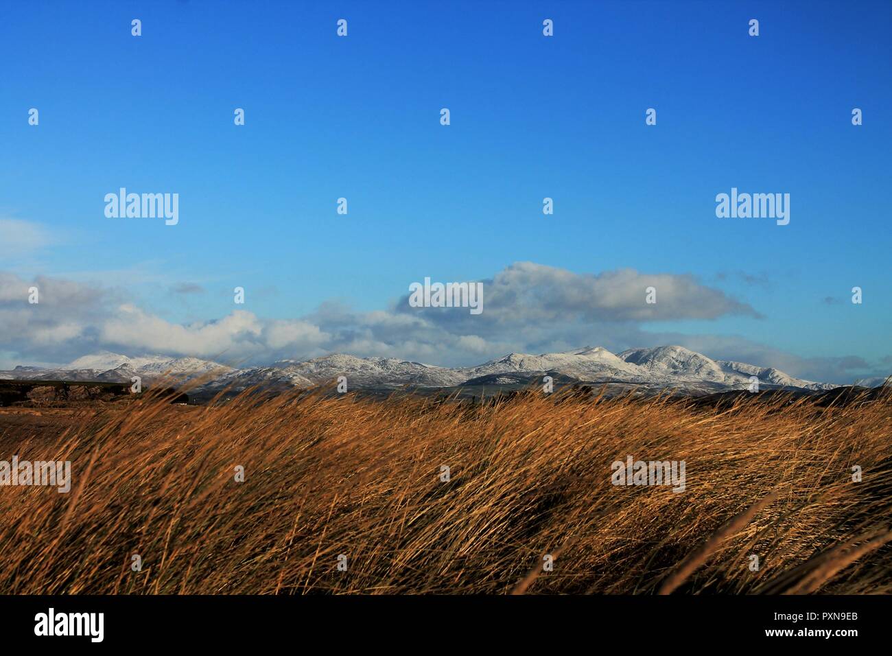 Askam in furness hires stock photography and images Alamy