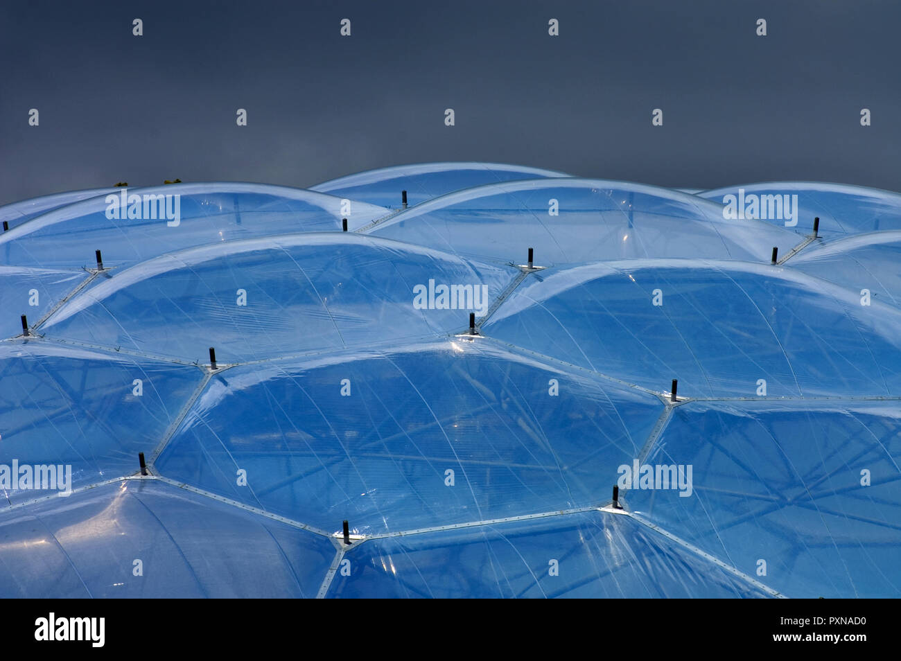 Detail of hexagonal domes of tropical biosphere at the Eden project in ...