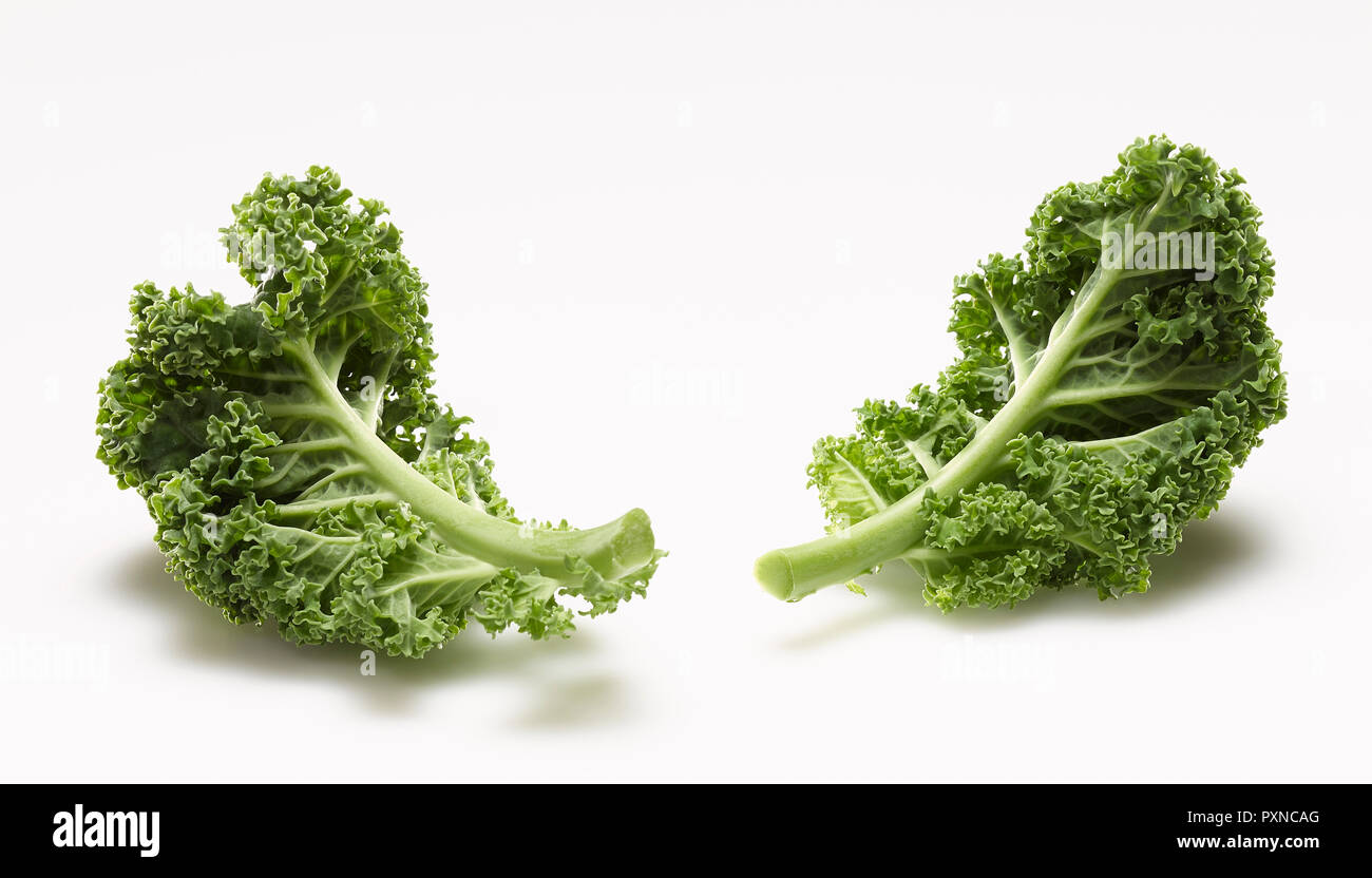 Curly Kale Stock Photo