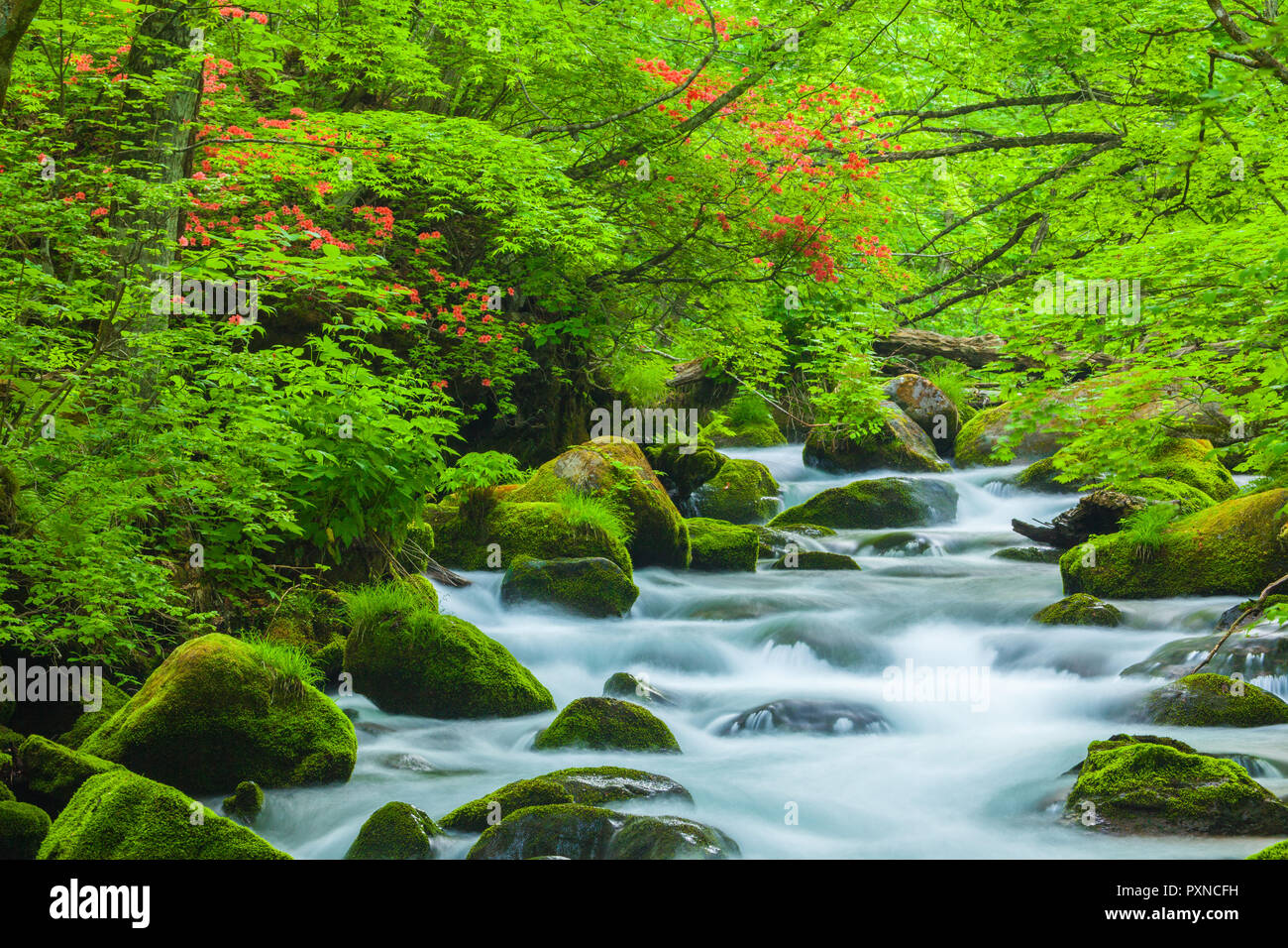 Aomori Prefecture, Japan Stock Photo