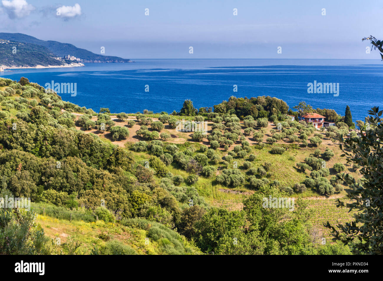 Aegean sea coast, Mount Athos, Athos peninsula, Greece Stock Photo