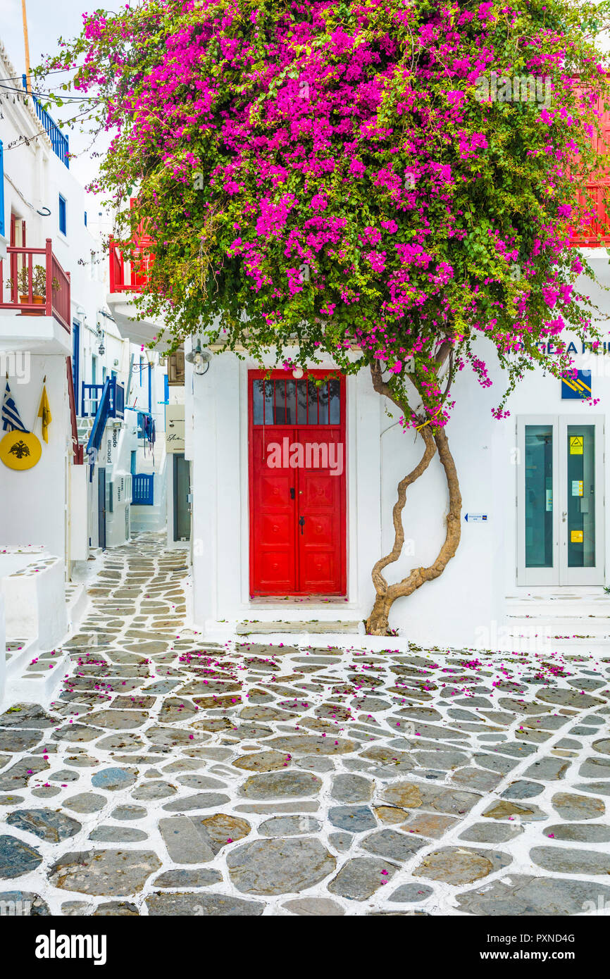 Chora (Mykonos Town), Mykonos, Cyclades Islands, Greece Stock Photo