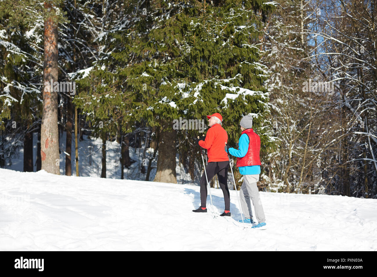 Contemporary sporty senior couple in activewear going skiing in winter forest together Stock Photo