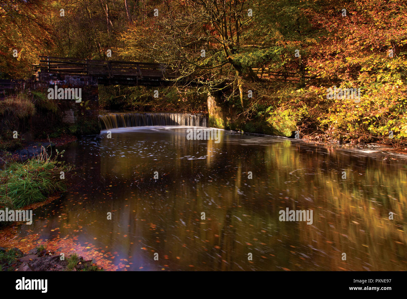 Horseshoe Falls and the Rotten Calder in autumn, Calderglen Country Park, East Kilbride, South Lanarkshire Stock Photo