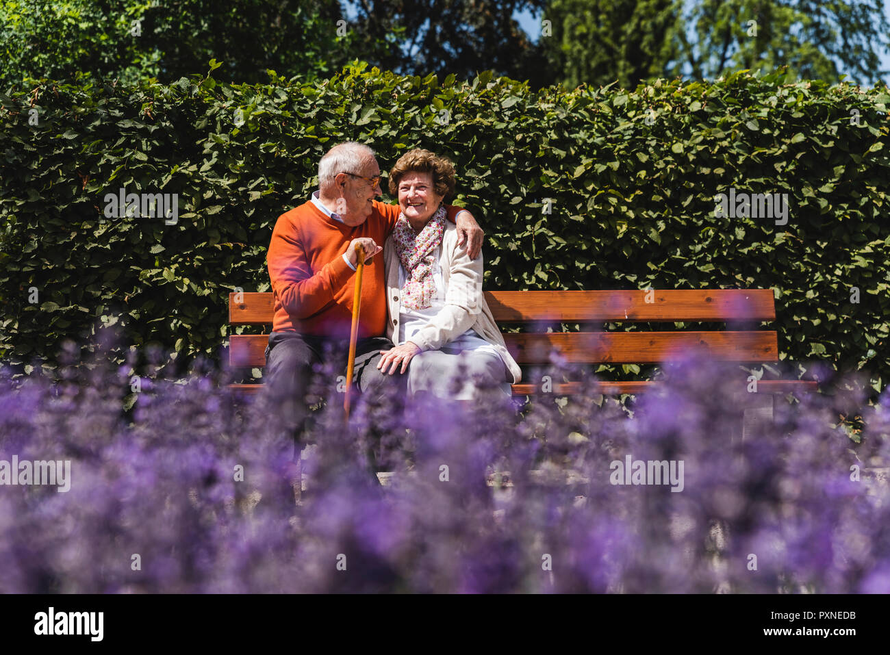 Senior couple sitting on bench in a park, falling in love Stock Photo