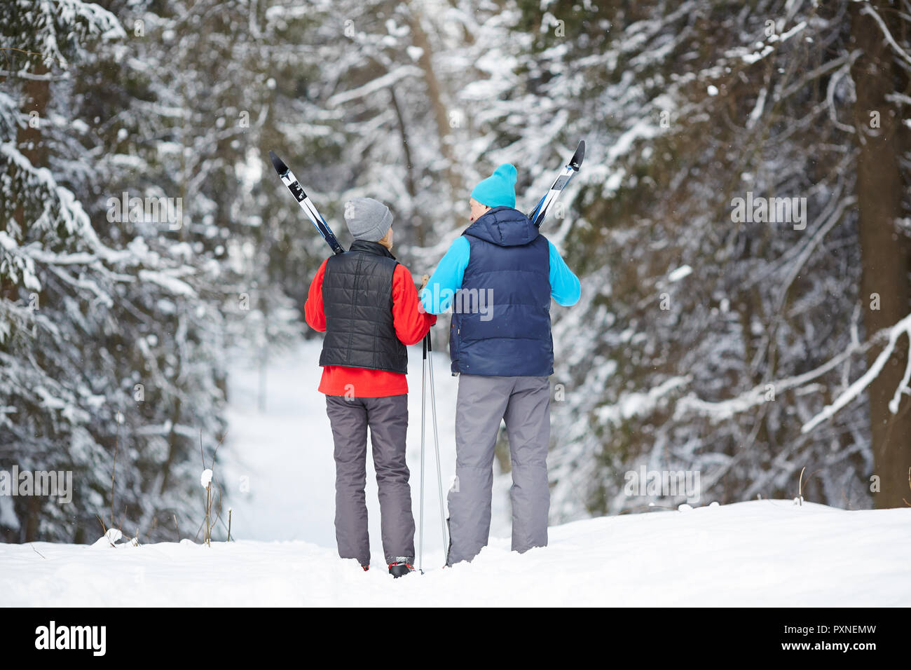 Rear view of sporty aged couple with skiing equipment walking down forest path on winter day Stock Photo