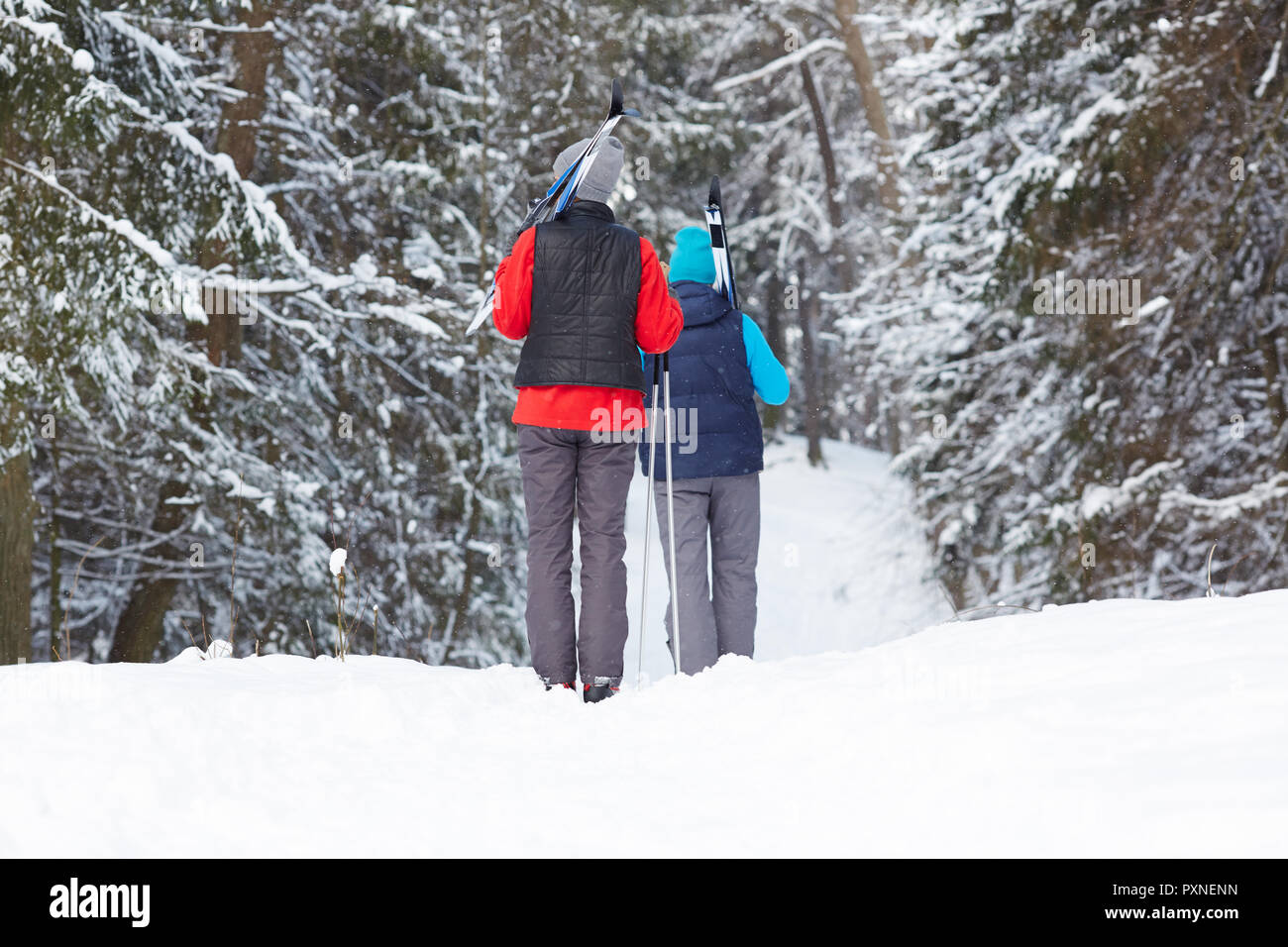 Contemporary sporty couple with skiing equipment walking down forest path in snowdrift while looking for training place Stock Photo