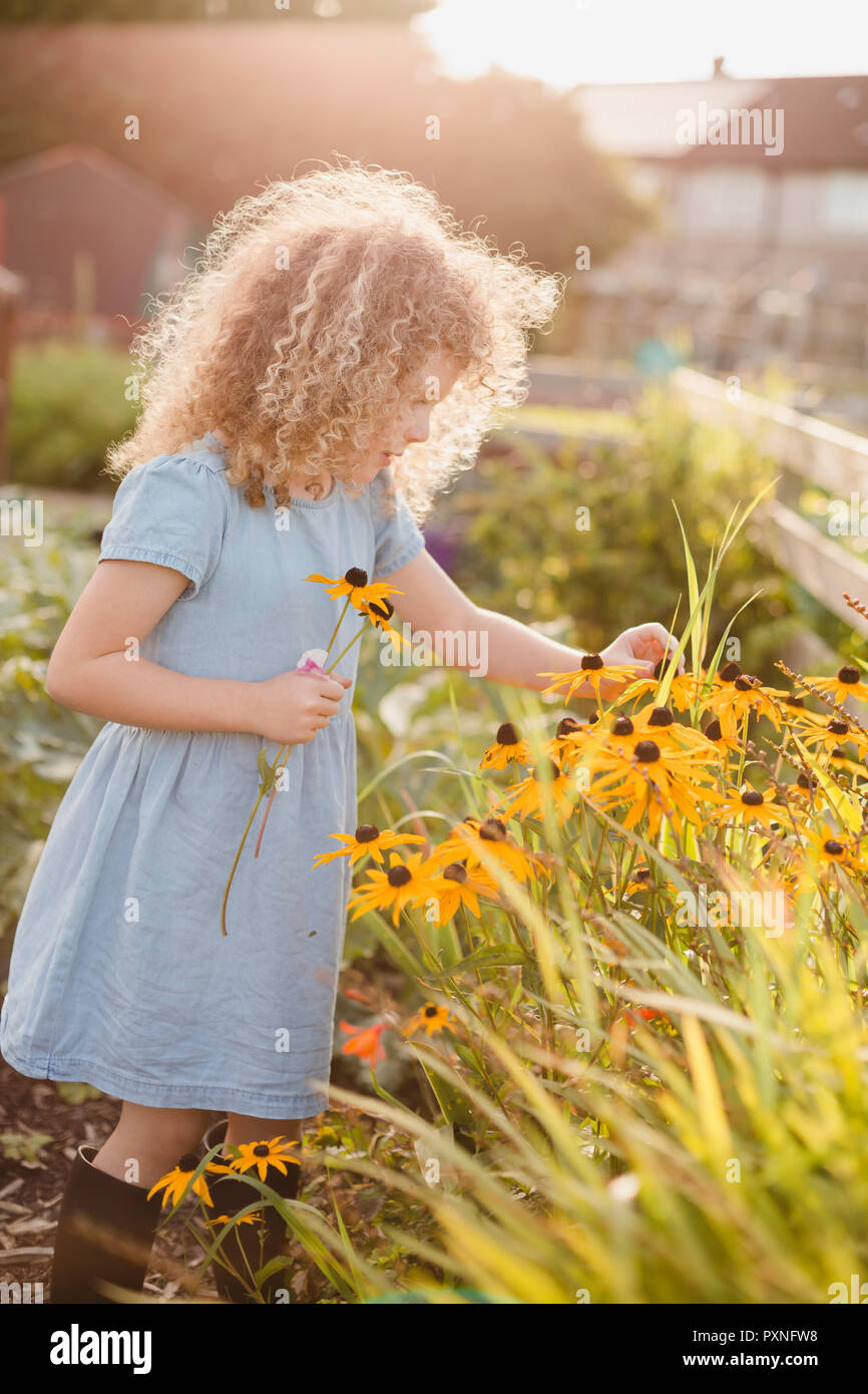 Little girl picking flowers in the garden Stock Photo