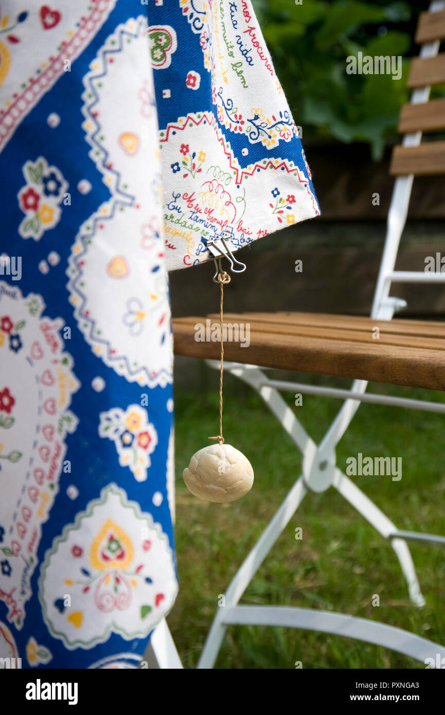 Weight of shell hi-res stock photography and images - Alamy