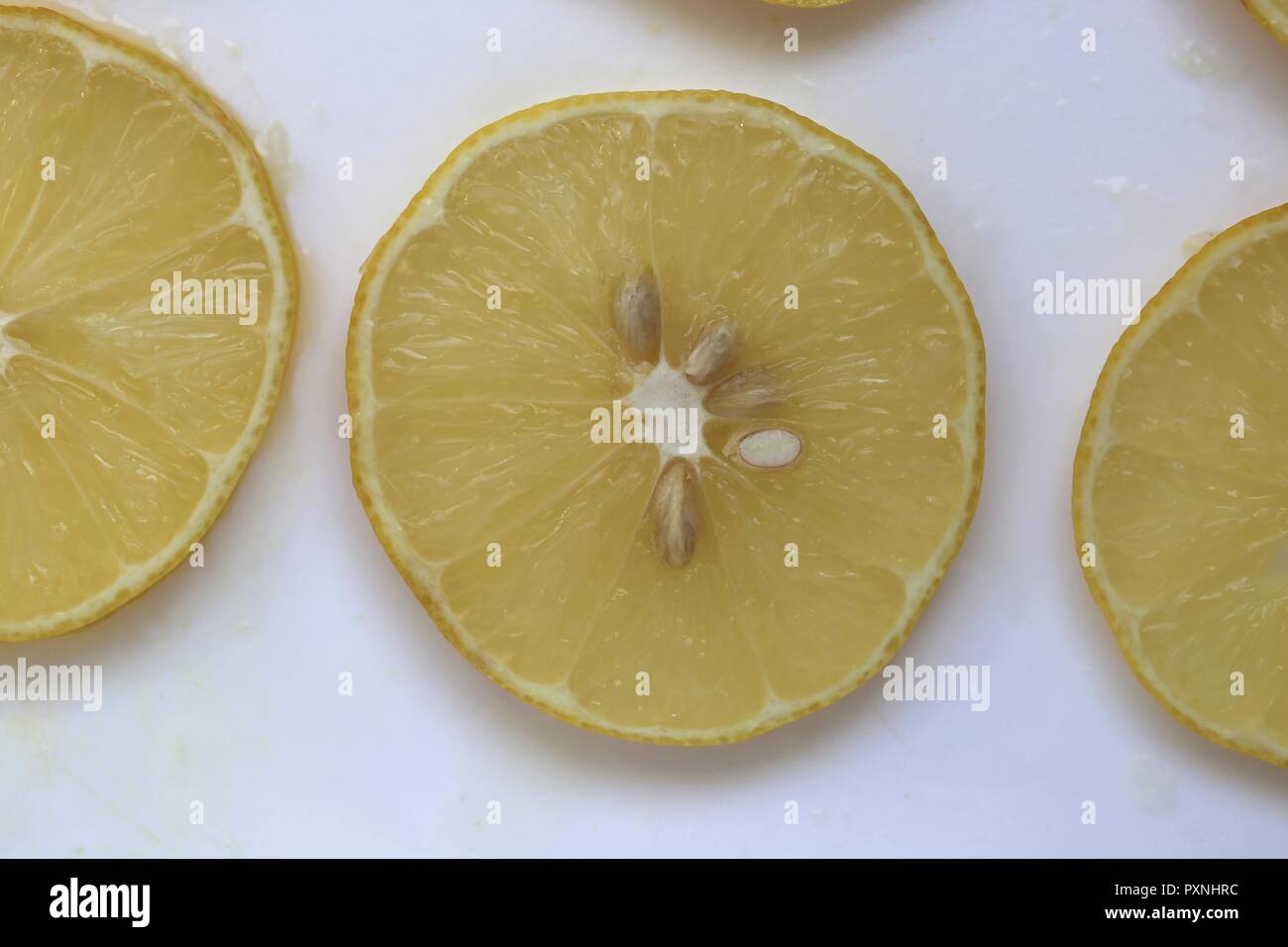 Lemon Slices. Line of round lemon slices, top view, close up, on wet white surface background. . Stock Photo