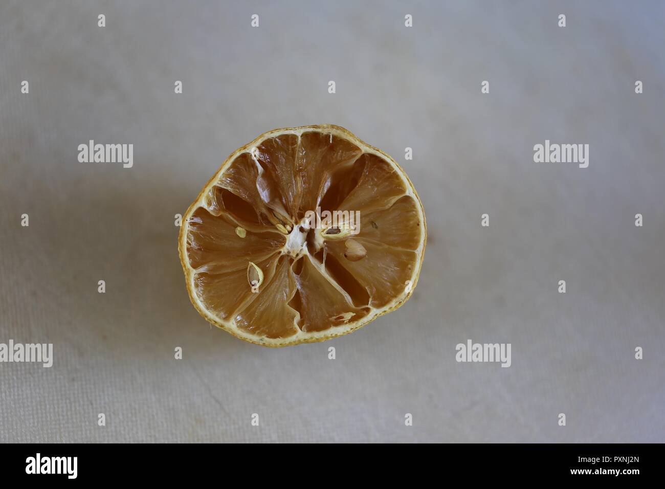 Half A Dry Lemon. Forgotten half dried lemon fruit. Stock Photo
