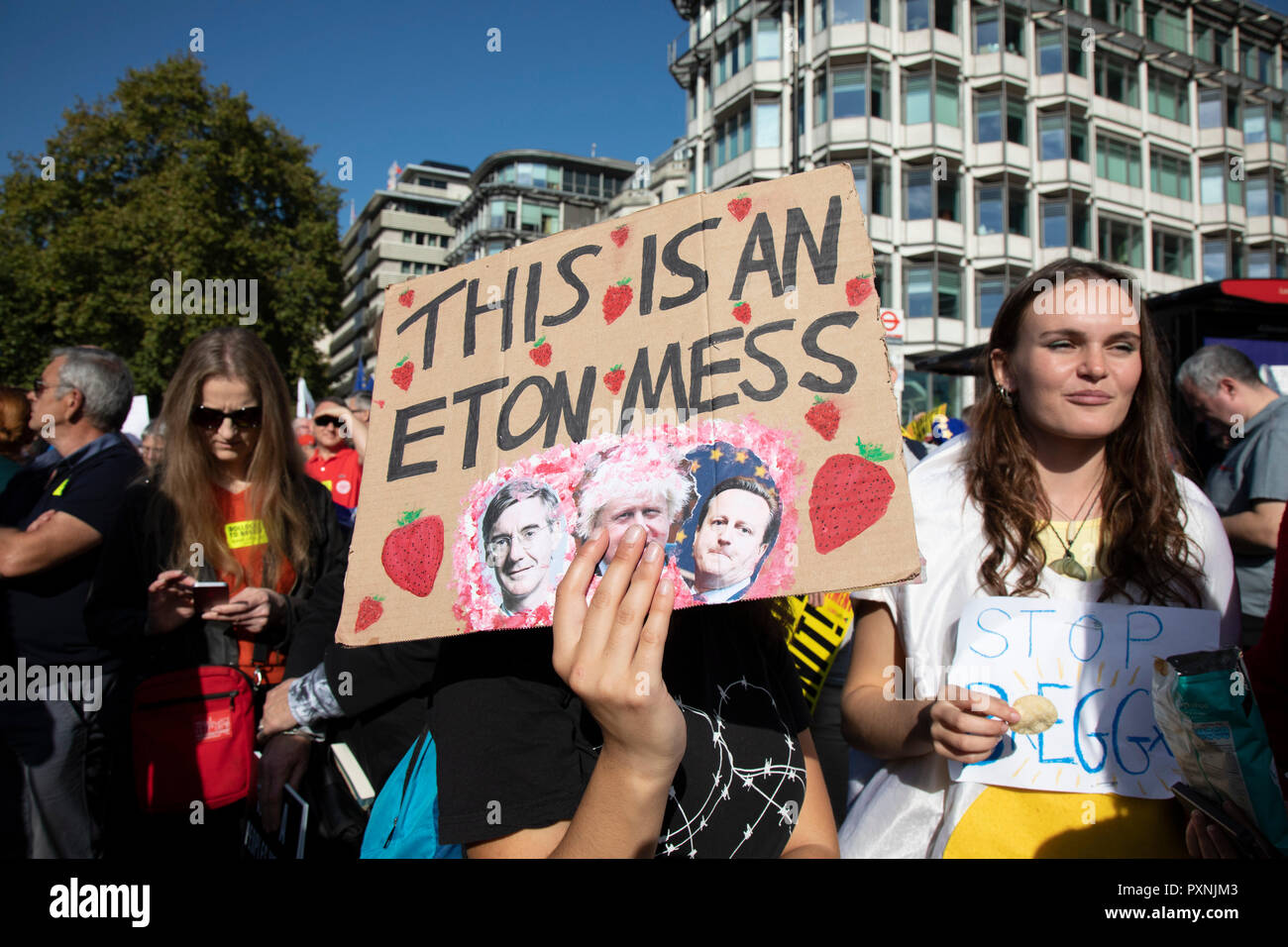 The People’s Vote March For The Future on 20th October 2018 in London, United Kingdom. More than an estimated 500,000 people marched on Parliament to demand their democratic voice to be heard in a landmark demonstration billed as the most important protest of a generation. As the date of the UK’s Brexit from the European Union, the protesters gathered in their tens of thousands to make political leaders take notice and to give the British public a vote on the final Brexit deal. Stock Photo