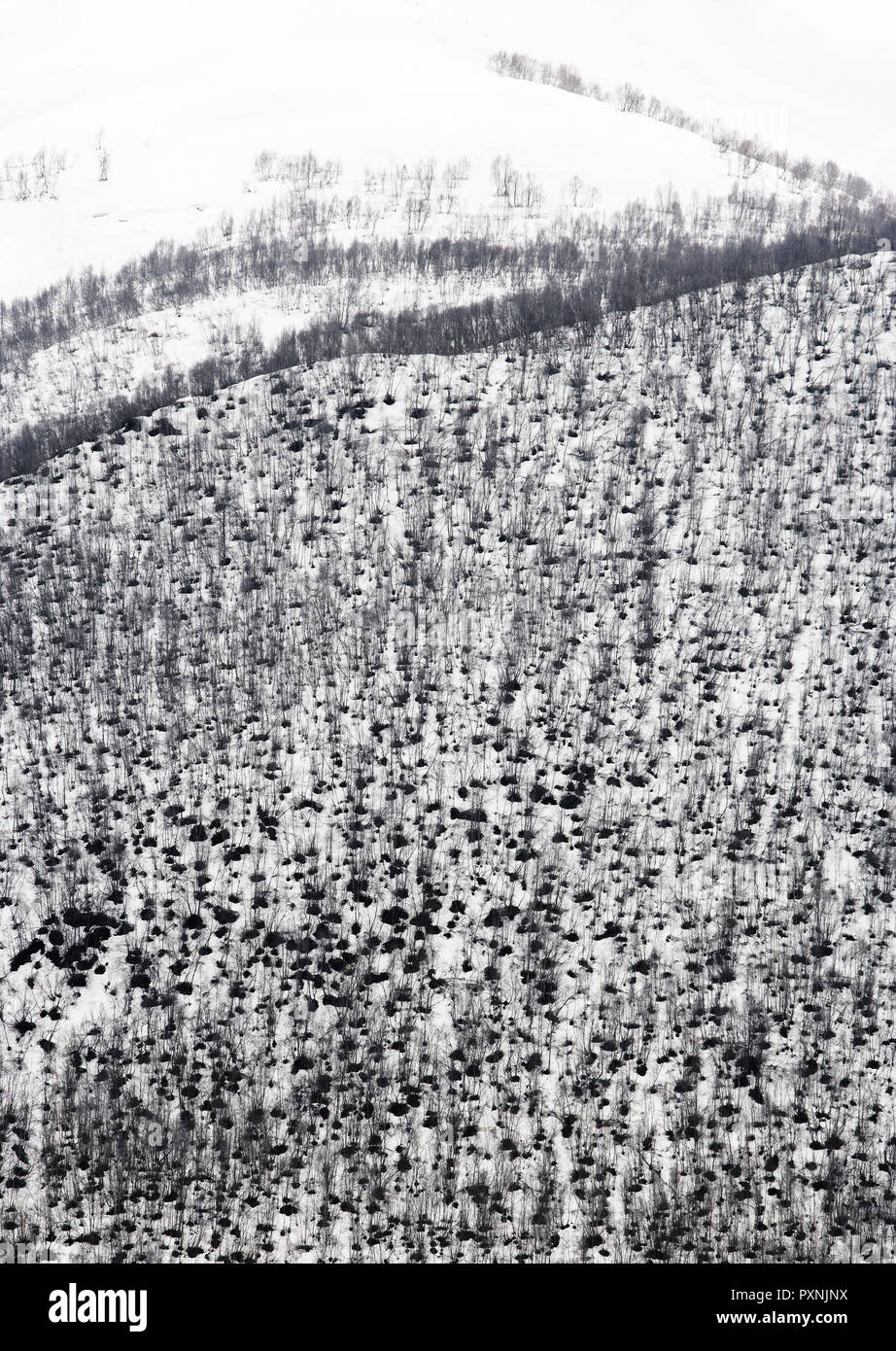 Georgia, Ushguli,  Greater Caucasus covered in snow Stock Photo