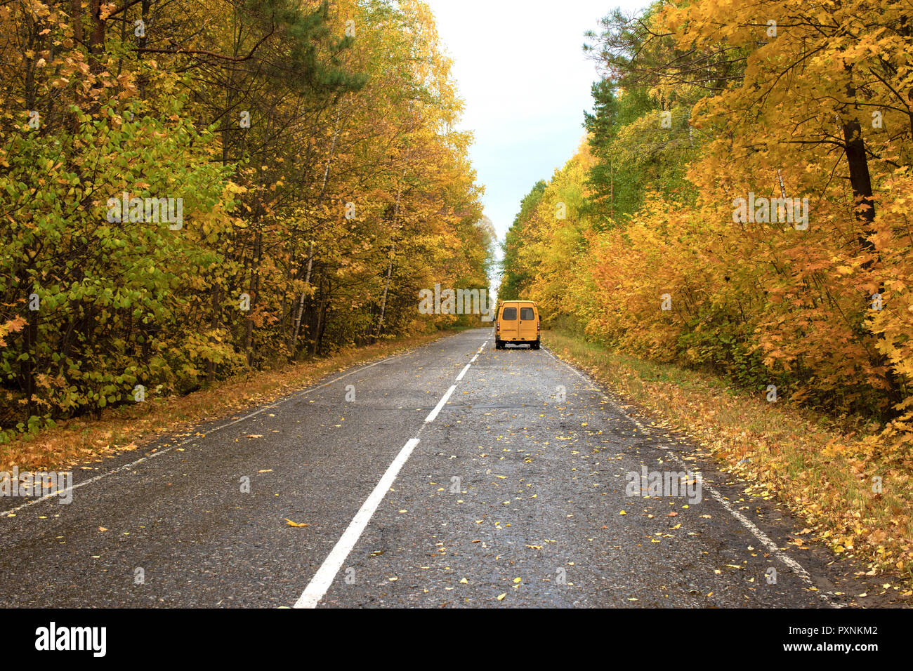 Road in north forest hi-res stock photography and images - Alamy