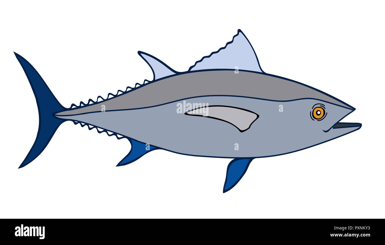 Tuna Fish Sketch Illustration, a hand drawn   doodle illustration of a tuna fish Stock Photo
