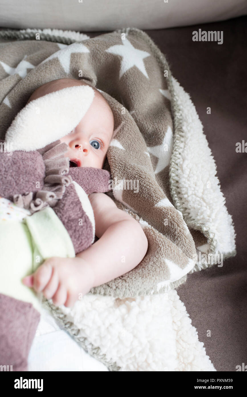 Baby Wrapped In Blanket Stock Photos & Baby Wrapped In Blanket Stock