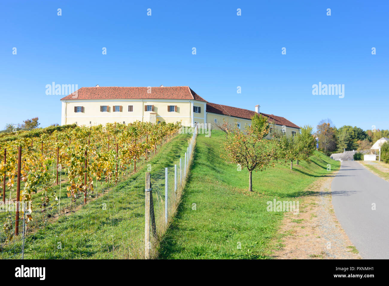 Neuhaus am Klausenbach: castle Tabor, vineyard in Südburgenland, Burgenland, Austria Stock Photo