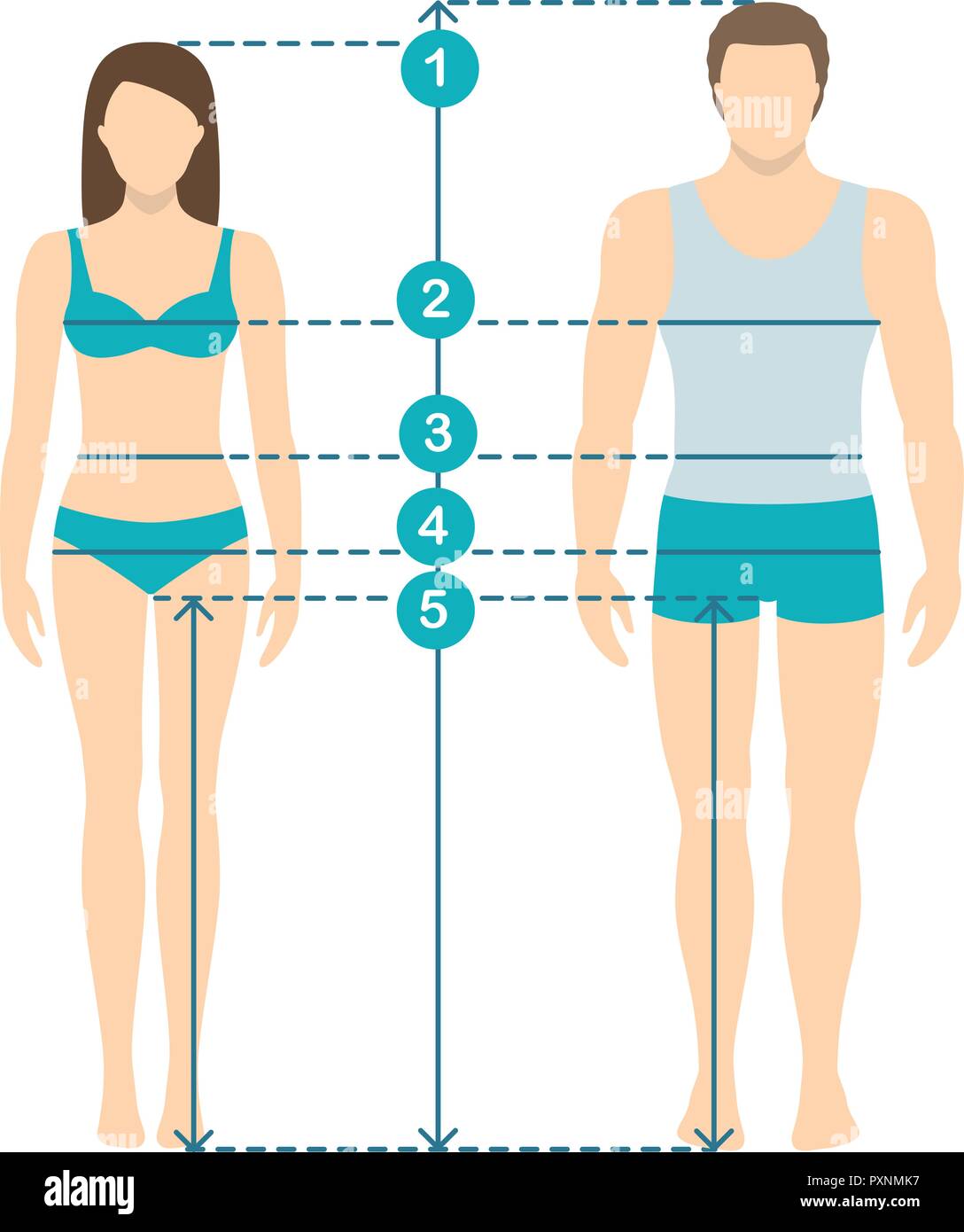 Vector illustration of man and women in full length with measurement lines of body parameters . Man and women sizes measurements. Human body measureme Stock Vector