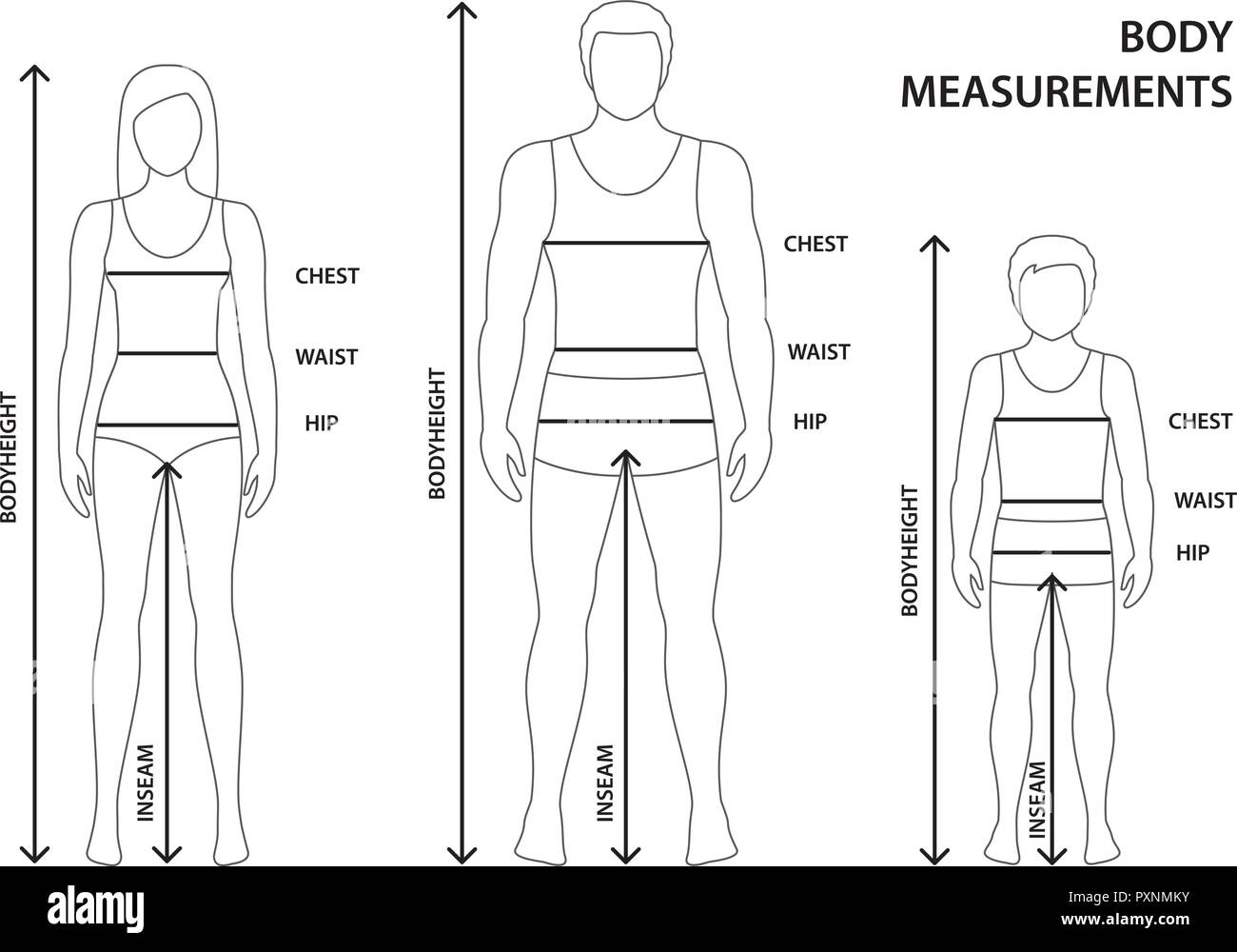 Vector illustration of contoured man, women and boy in full length with measurement lines of body parameters. Man, women and child sizes measurements. Stock Vector