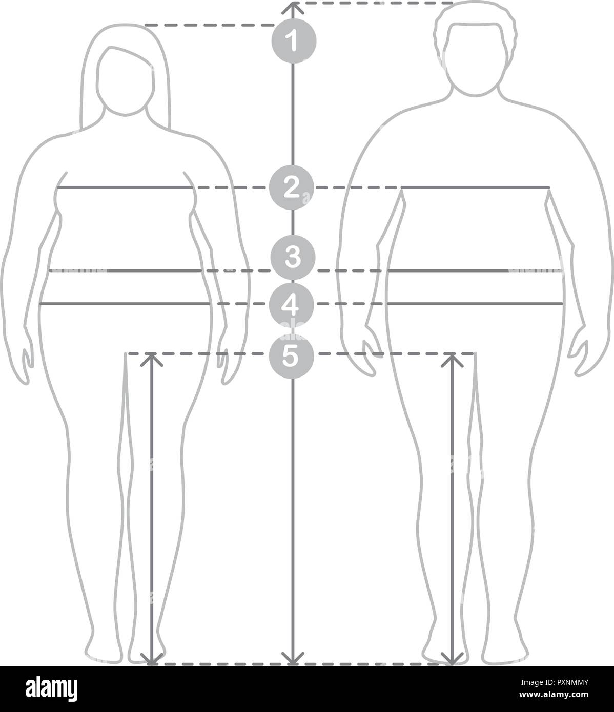 Contours of overweight man and women in ...