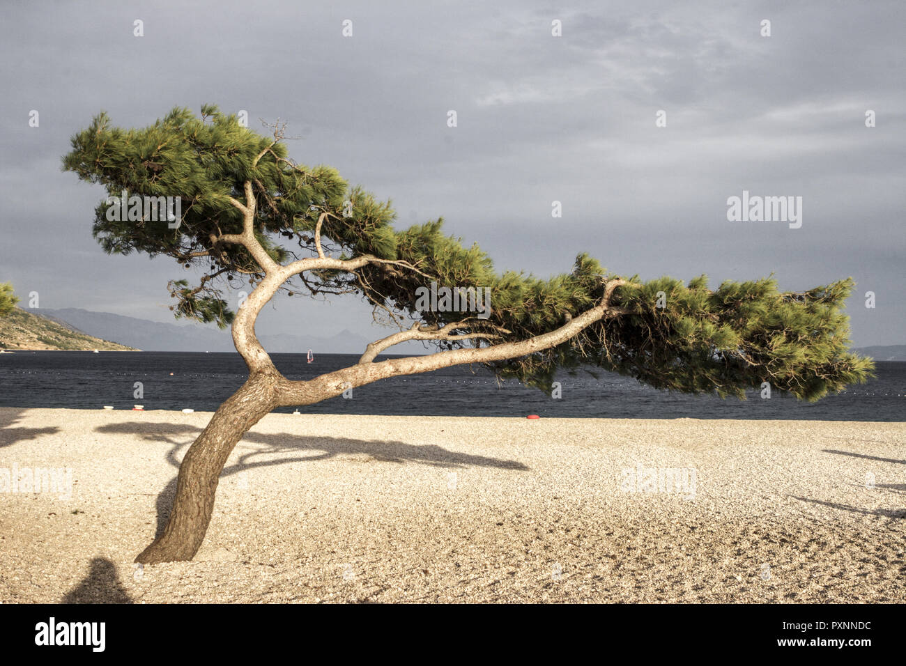 Brac, Zlatny roh Stock Photo