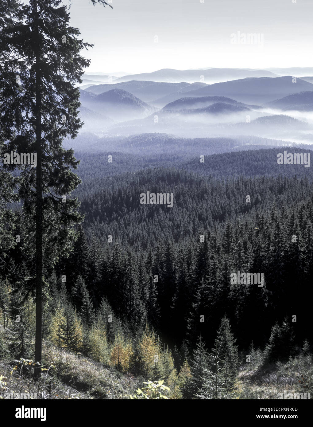 Slovakia Raj Slovensky raj hi-res stock photography and images - Alamy
