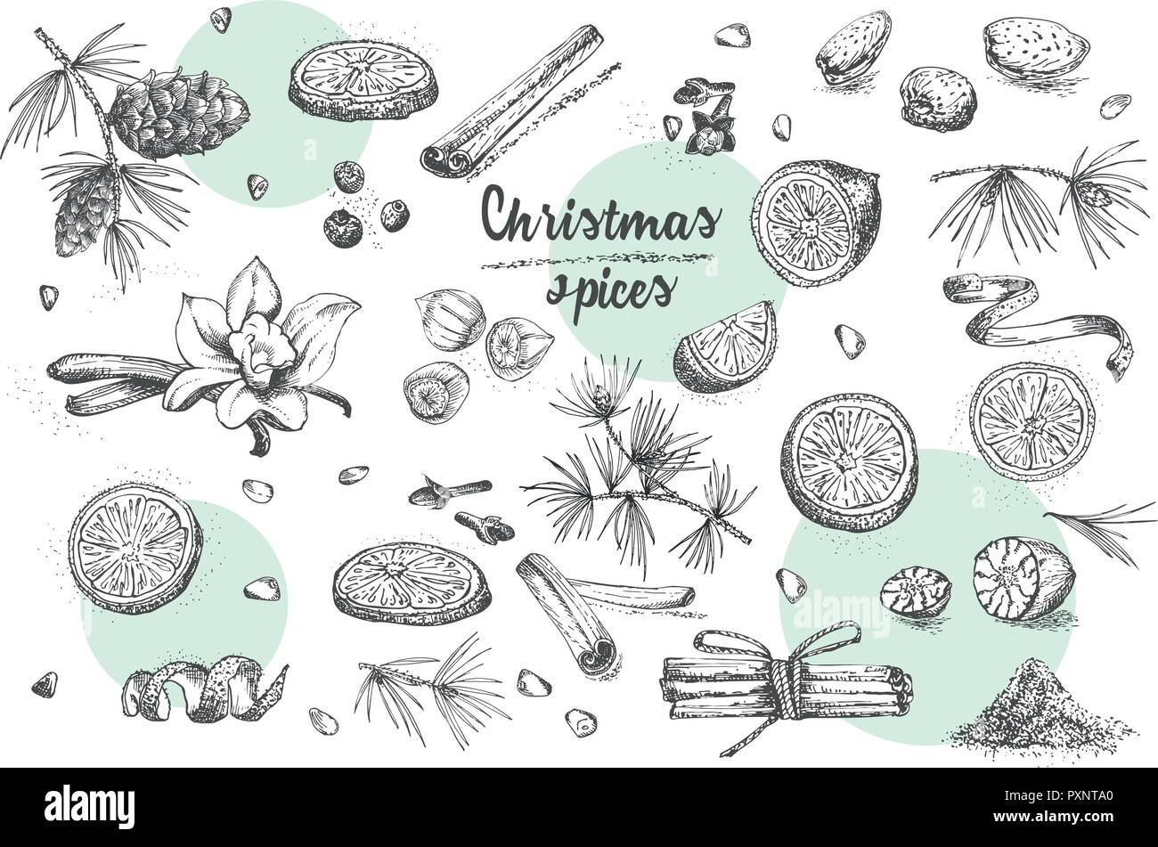 Set of hand drawn Christmas winter spices pattern. Traditionally used in made desserts, hot mulled wine, homemade cookies. Stock Vector