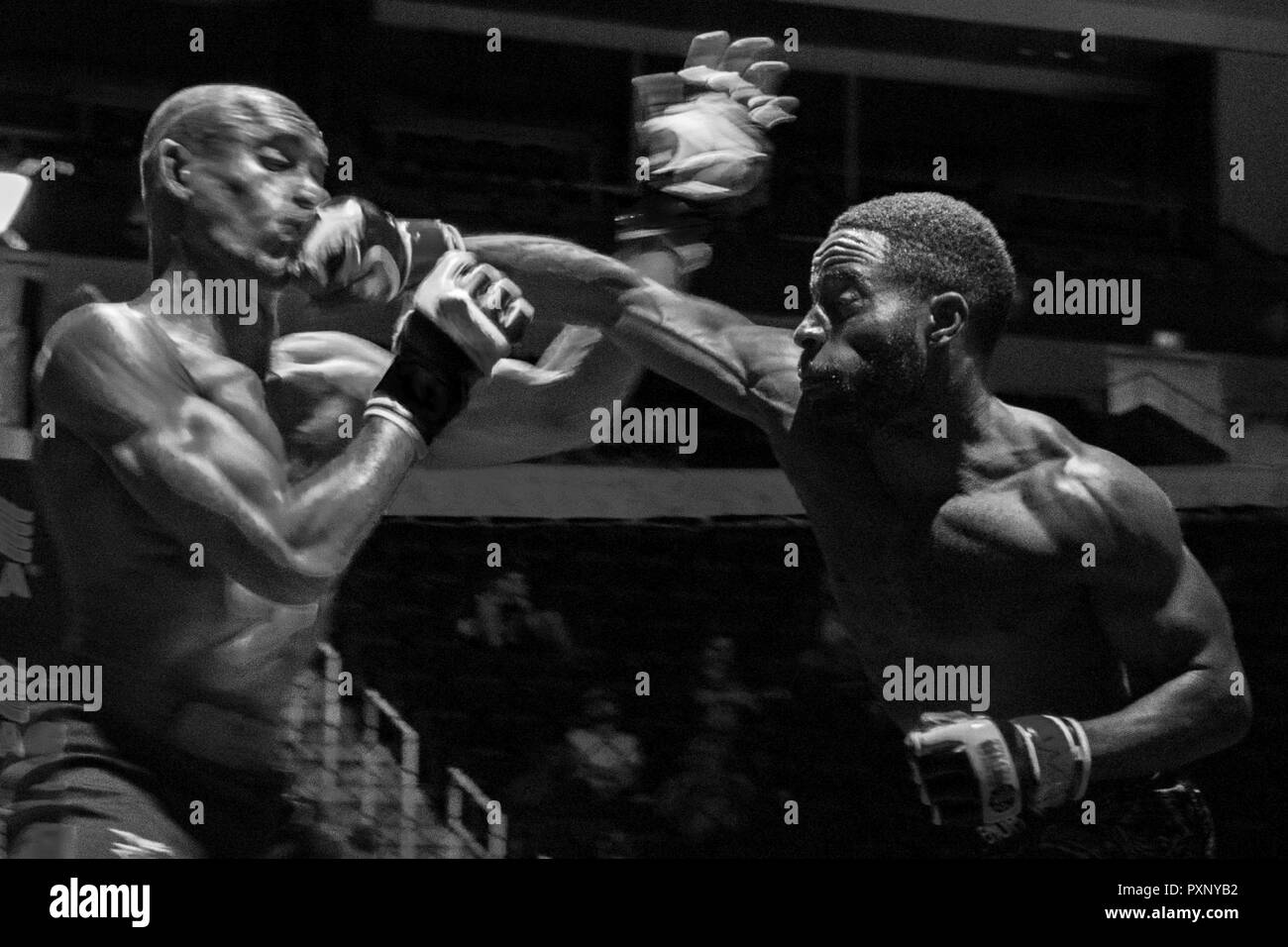 Featherweight Black And White Stock Photos Images Alamy