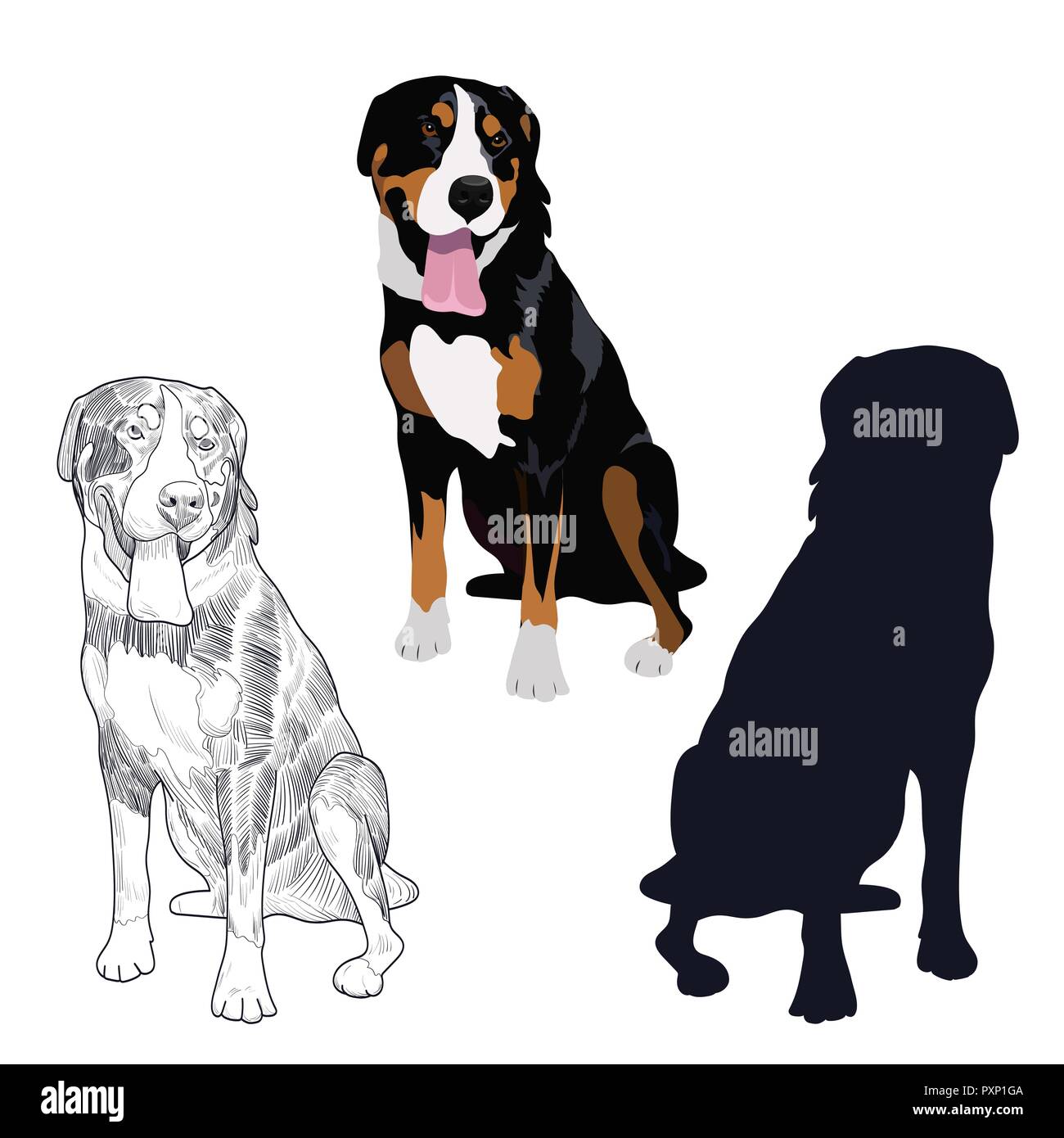Swiss mountain dog in three different styles. Purebred canine sitting isolated on white background. Stock Vector
