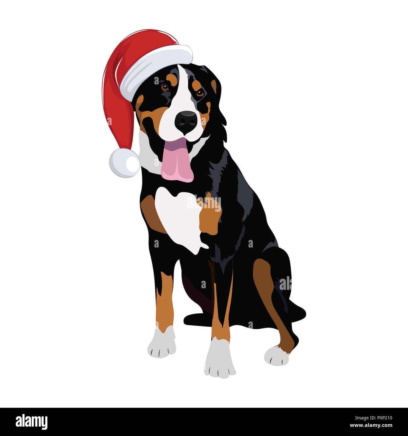 Swiss Mountain dog with Christmas hat isolated on white background. Purebred dog panting and wearing Santa hat. Stock Vector