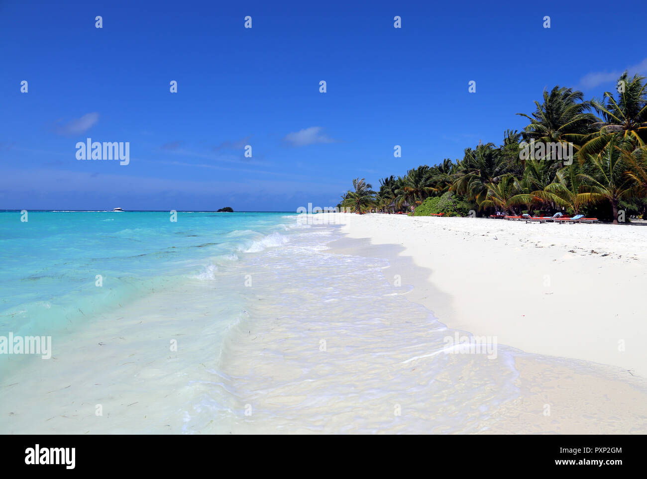 Relaxing under a palm tree Stock Photo Alamy