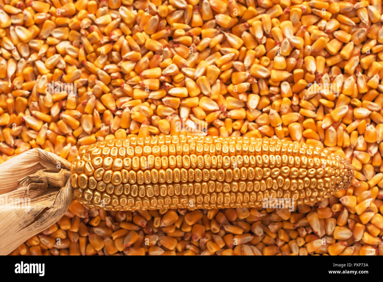Profitable harvest hires stock photography and images Alamy